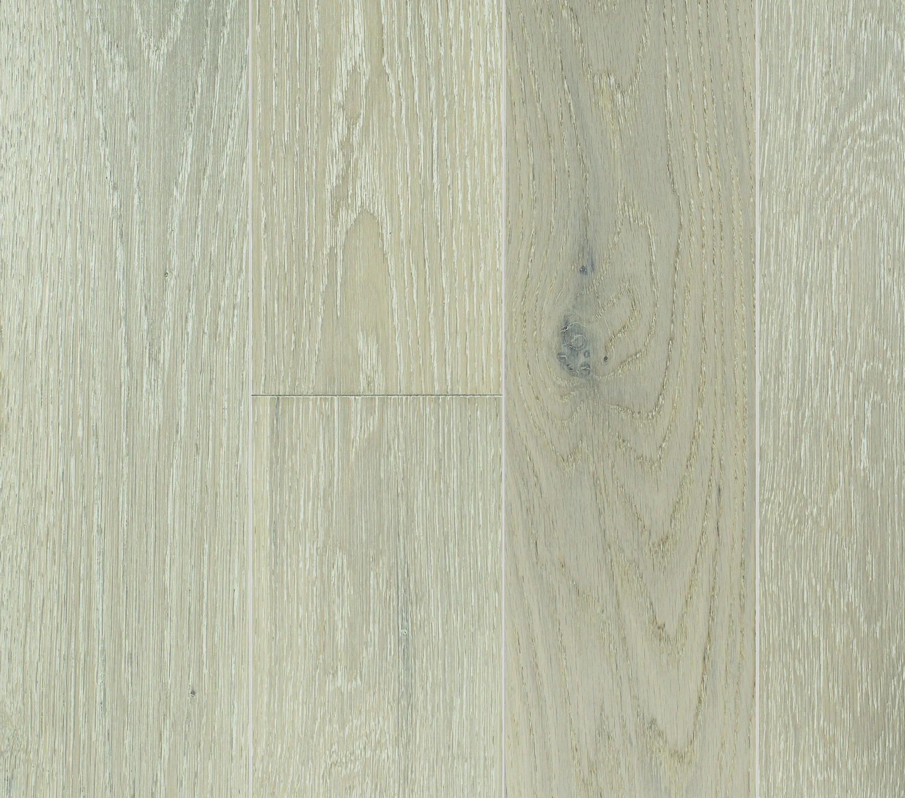 White Oak Atlantis with bleed_HR.jpg