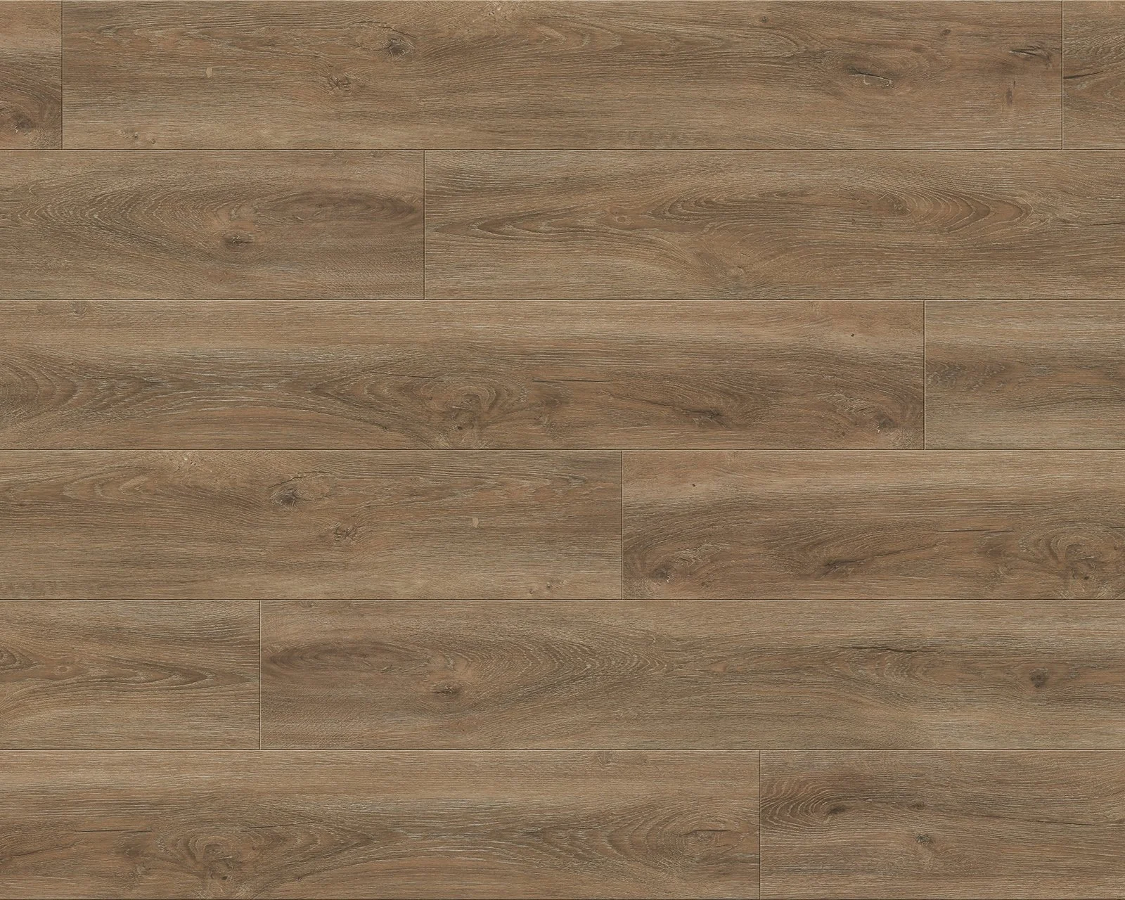 Mackinac Island Scan Web.jpg