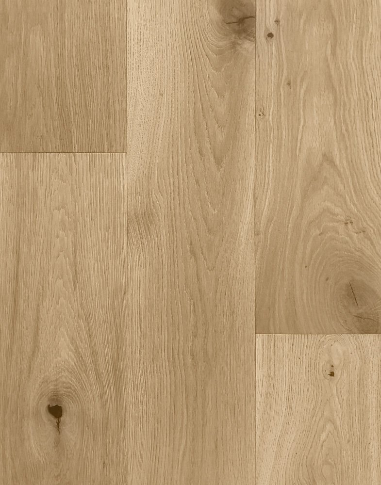 Genese DMGP-702 Zen Thumbnail Web Assets.jpg