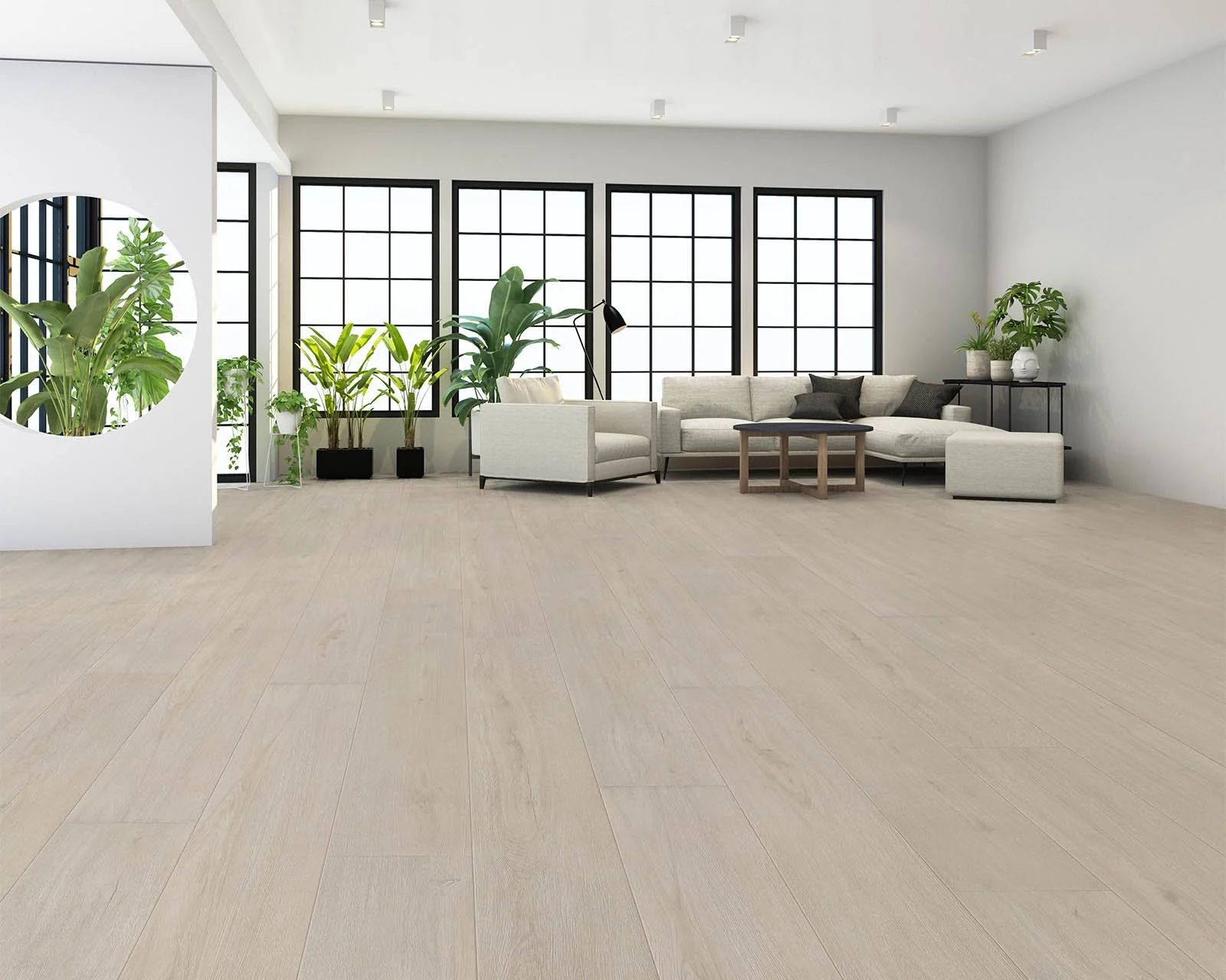 Zephyr Roomscene Web.jpg