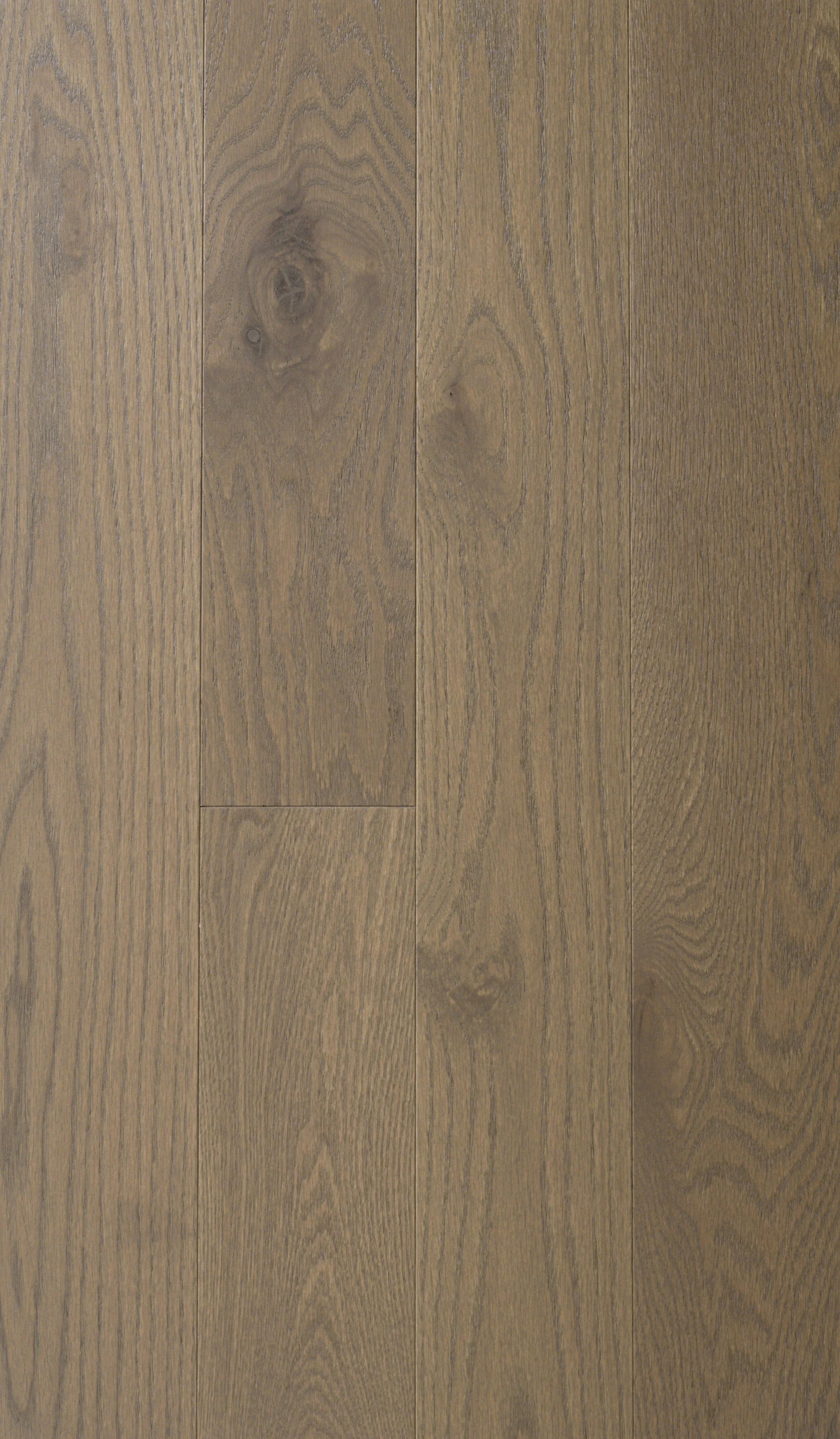 Serengeti Red Oak