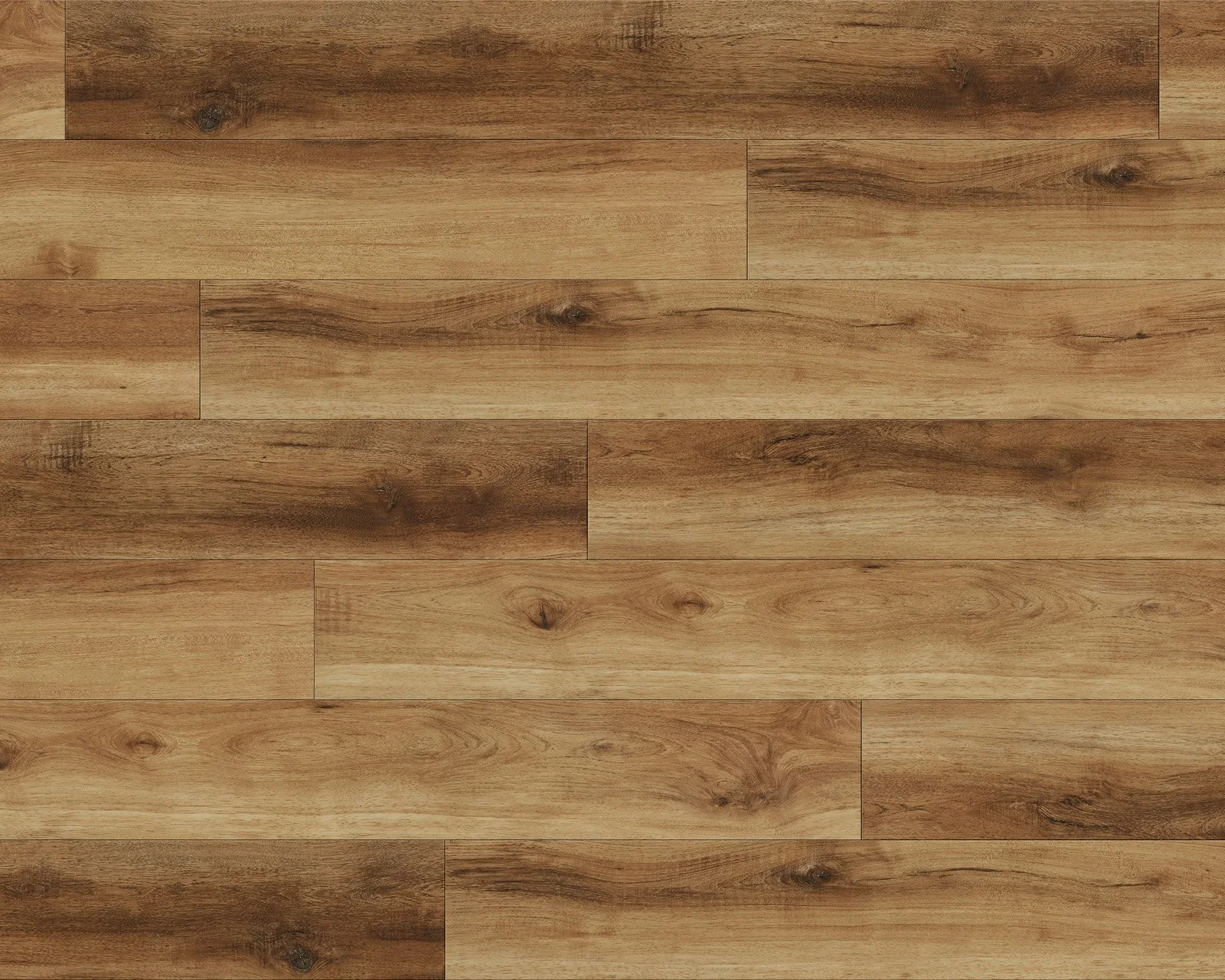 Citrine Oasis Scan Web E.jpg