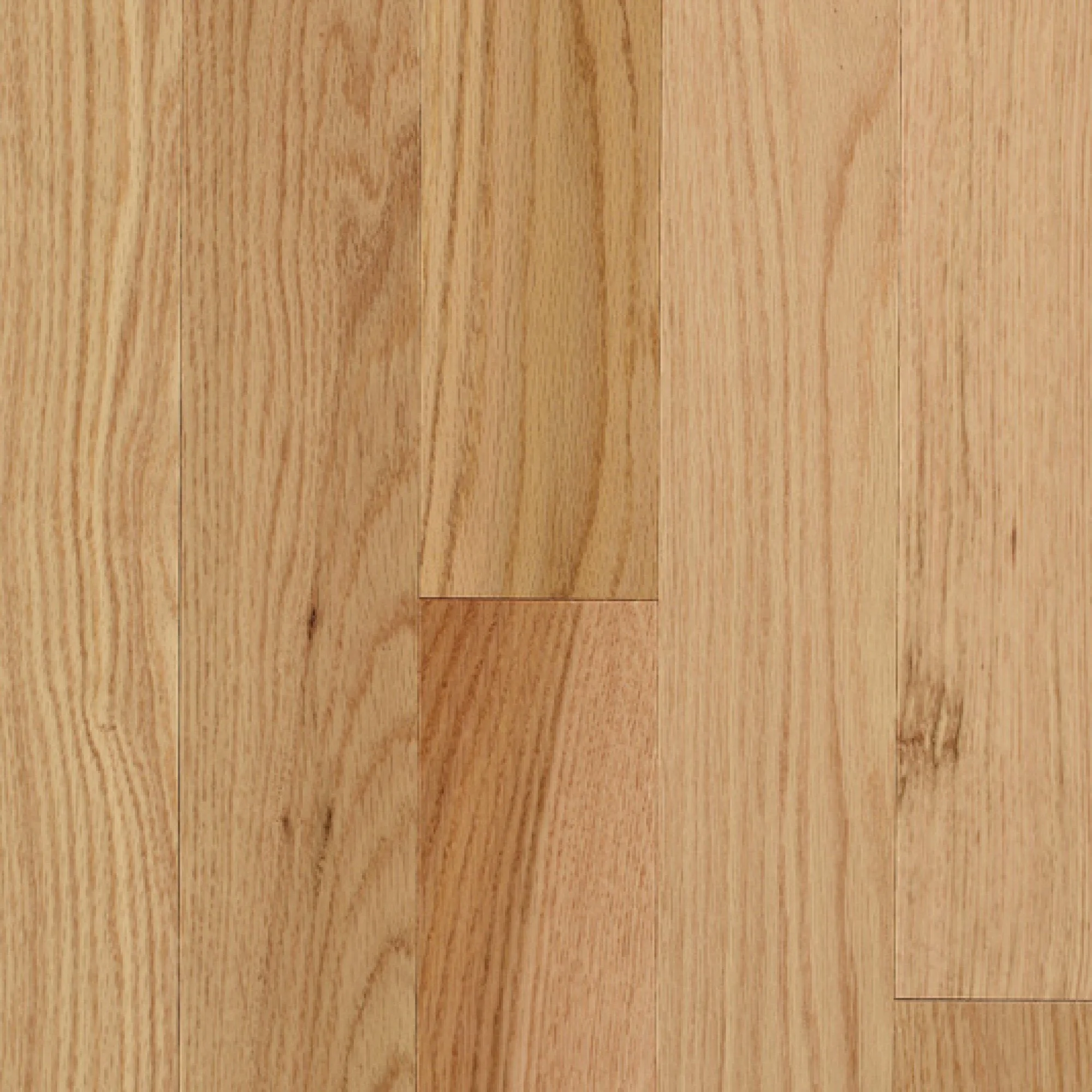 2 1/4" Natural Red Oak Shorts - Sale Price $3.25 PSF (Retail Price $5.49 PSF)