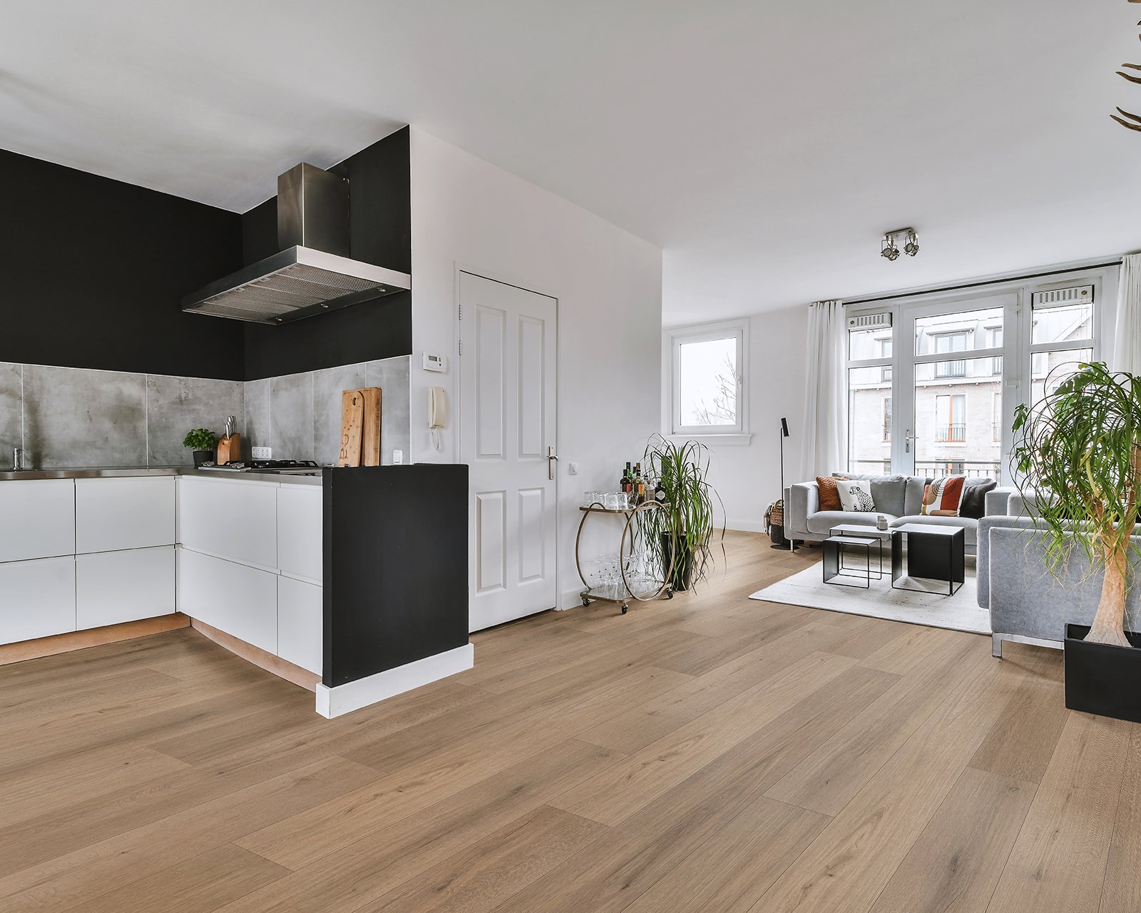 Zodiac Roomscene Web.jpg