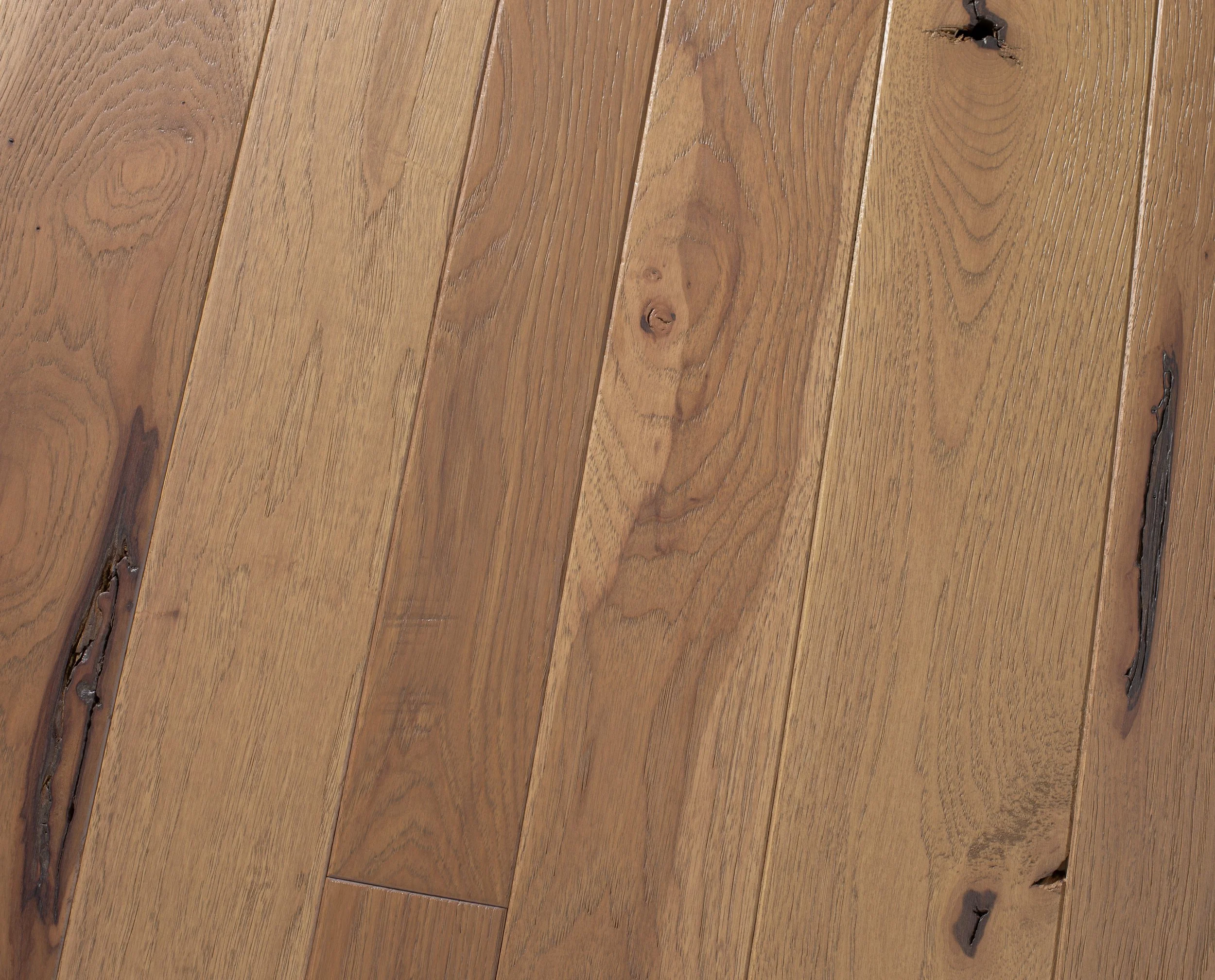 Ridley Creek Hickory