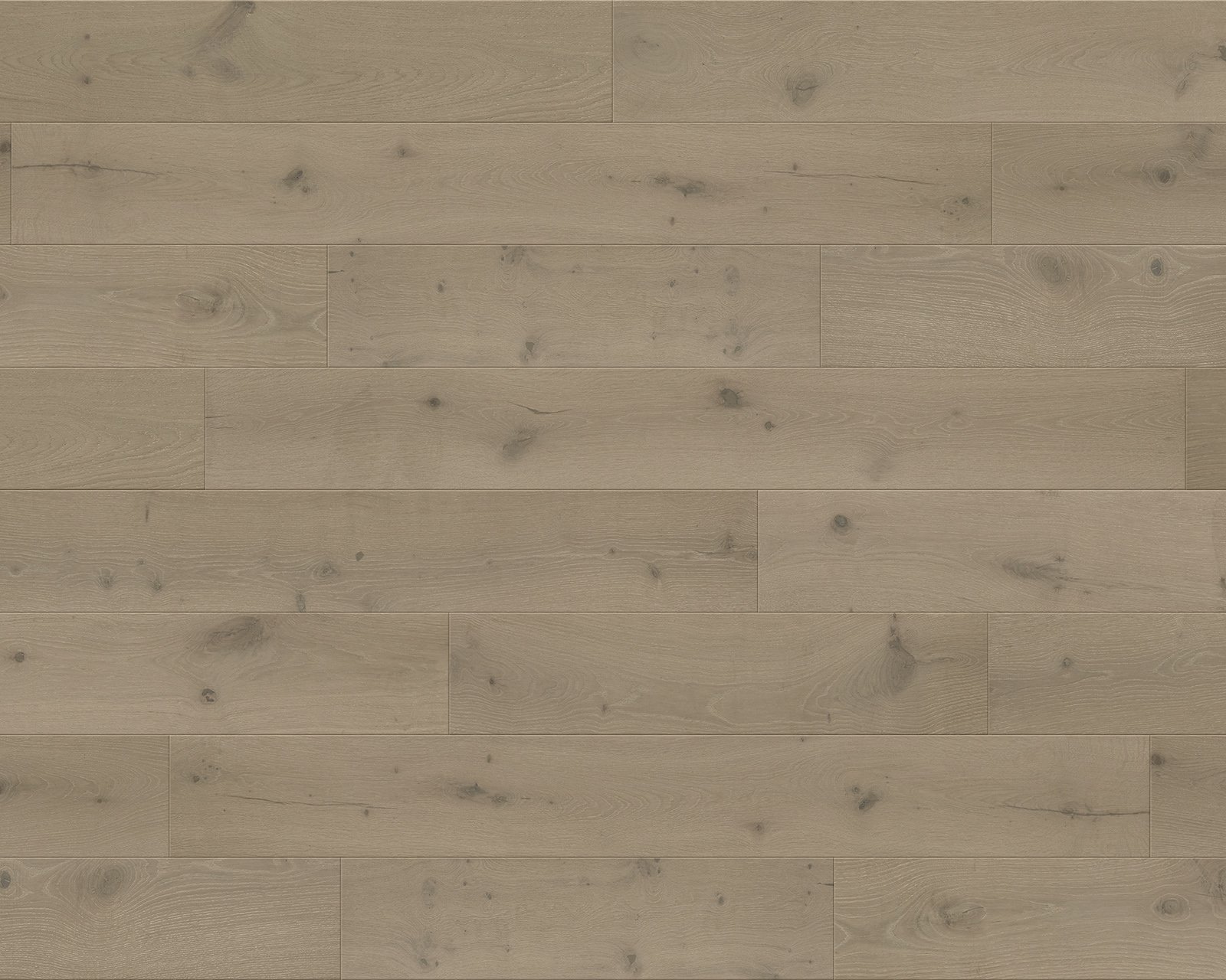 Jenne - Renaissance