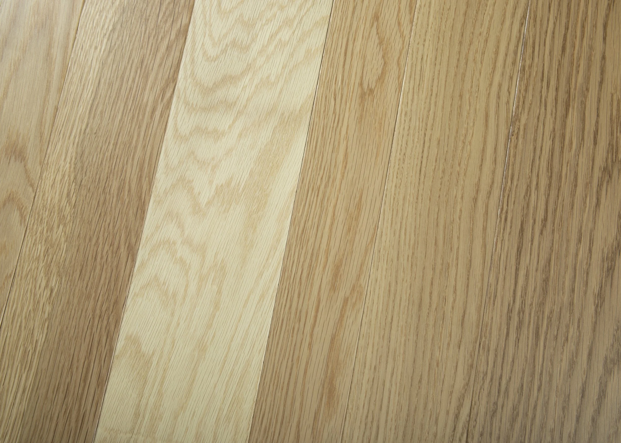 Oak Island - White Oak