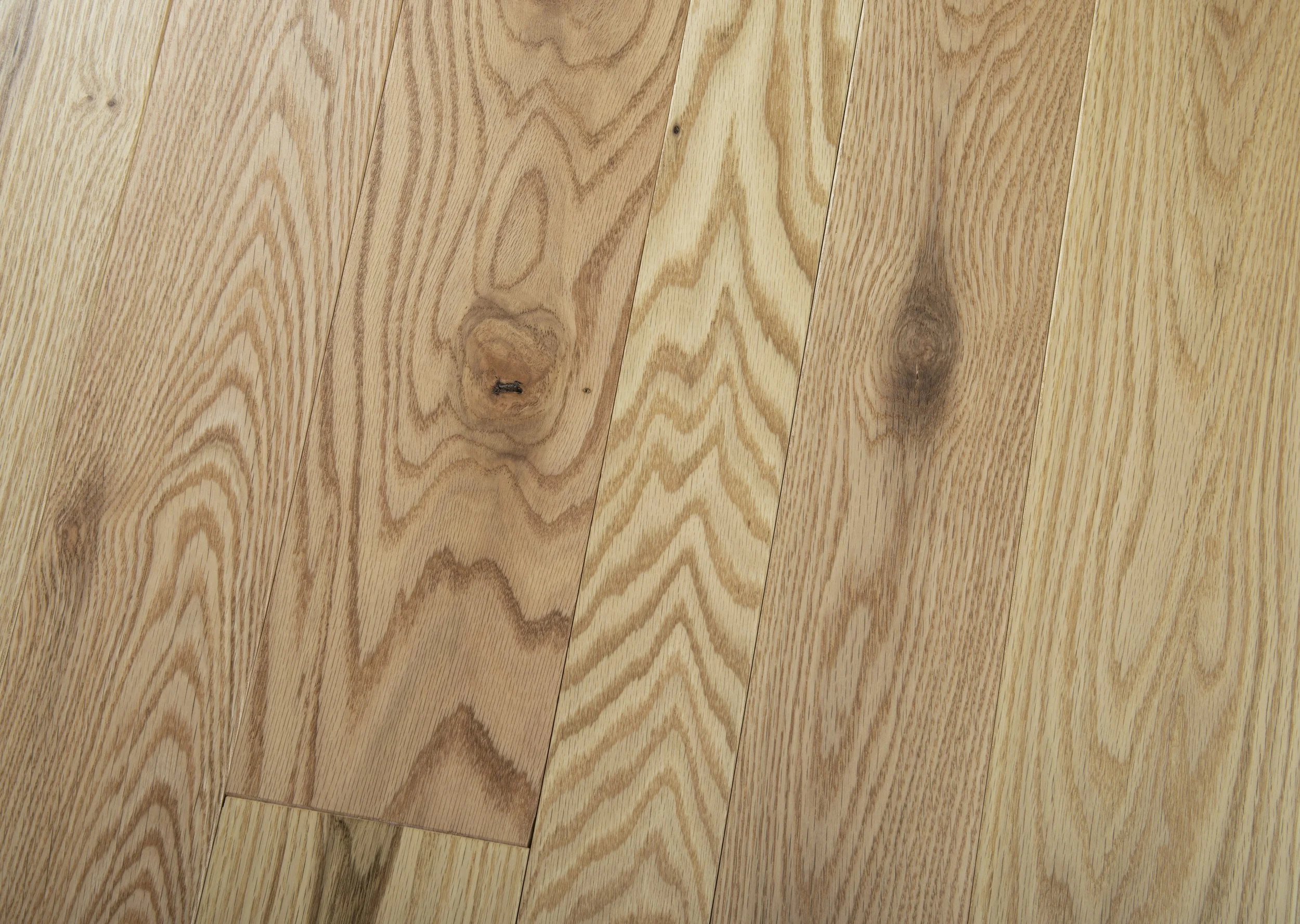 Heirloom Red Oak