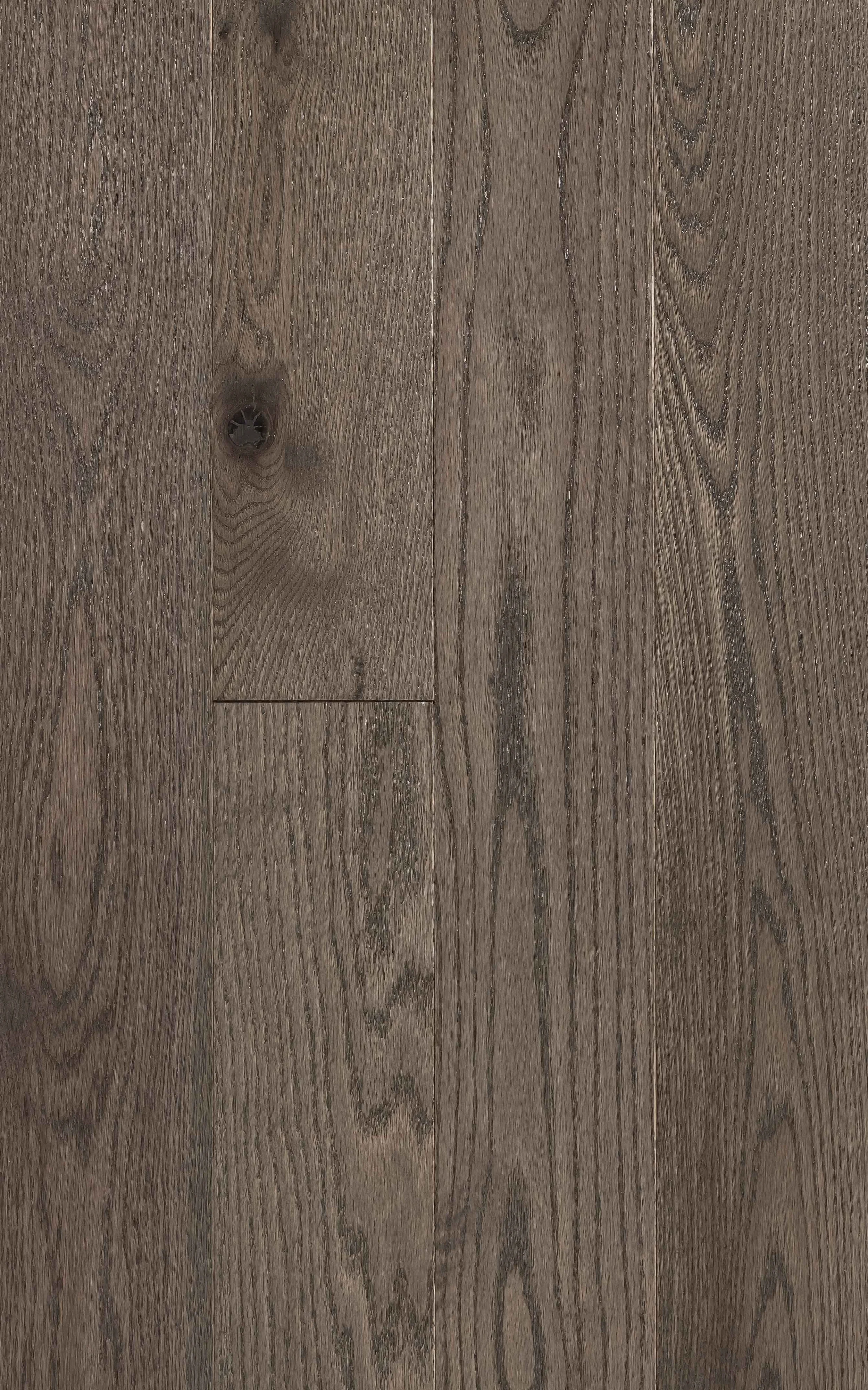 Shale Red Oak