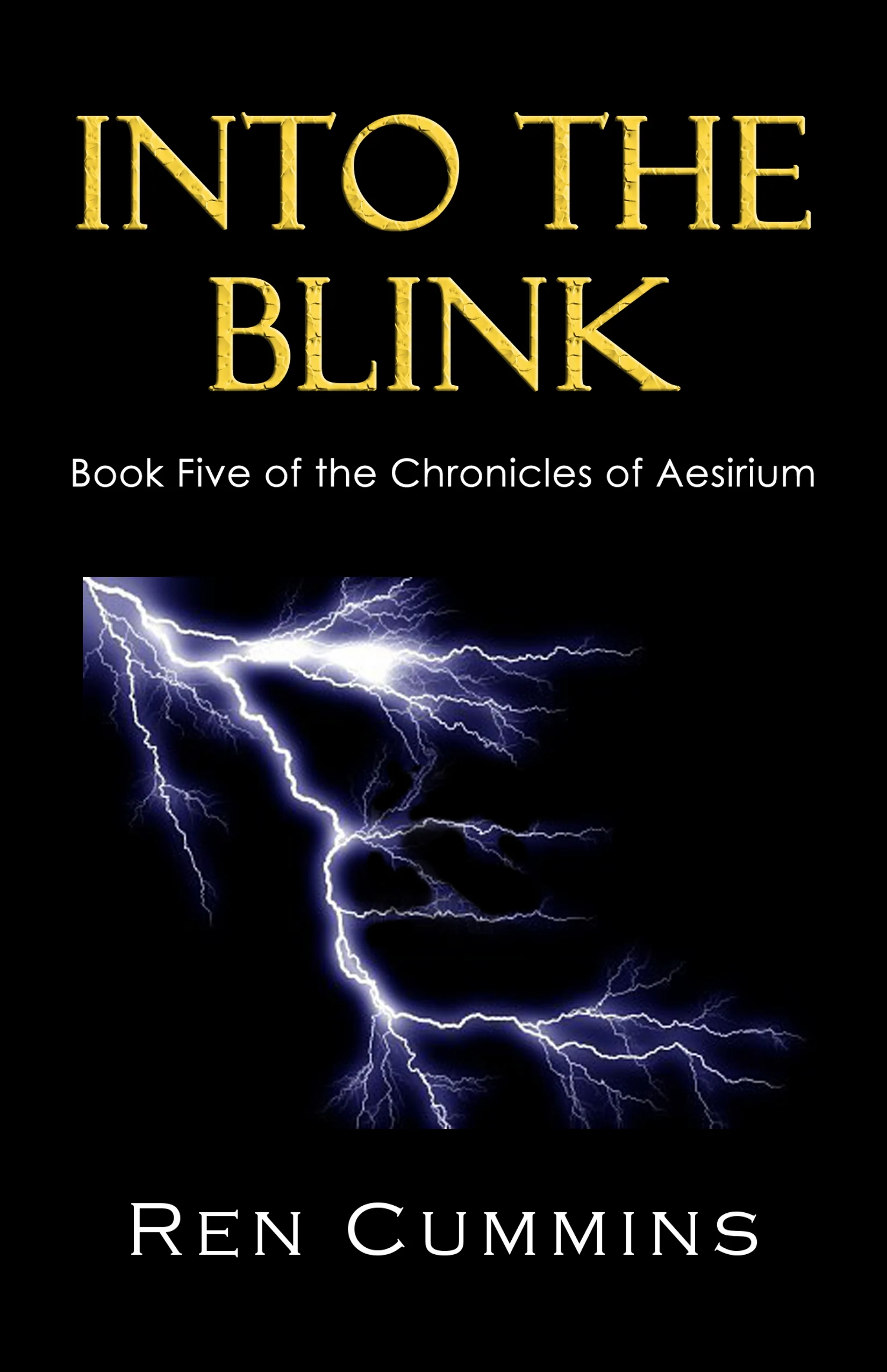 into the blink.jpg