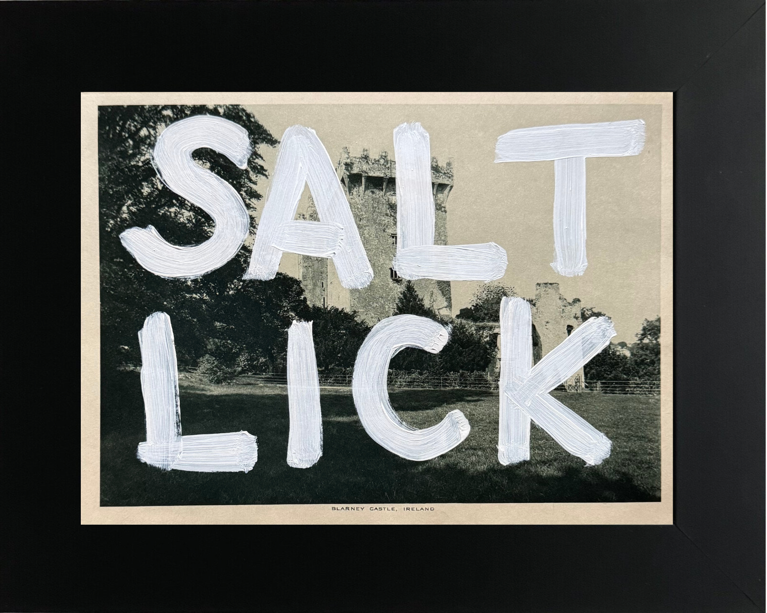 SaltLick.png