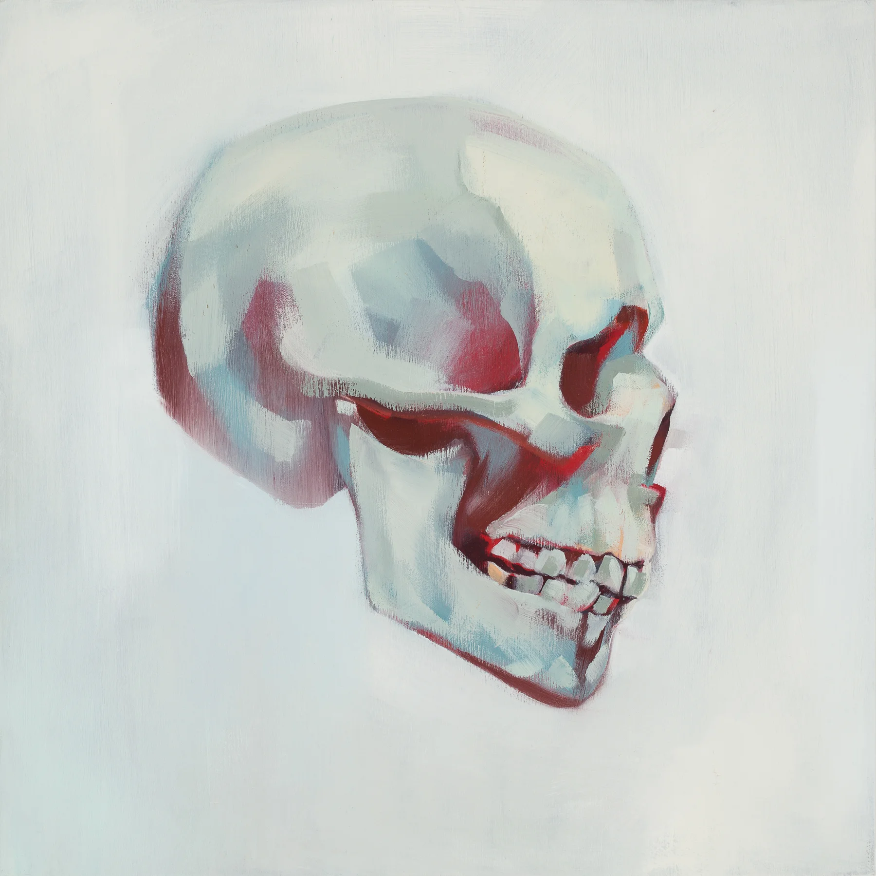 Skull study