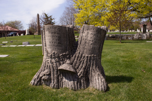  Trees.
