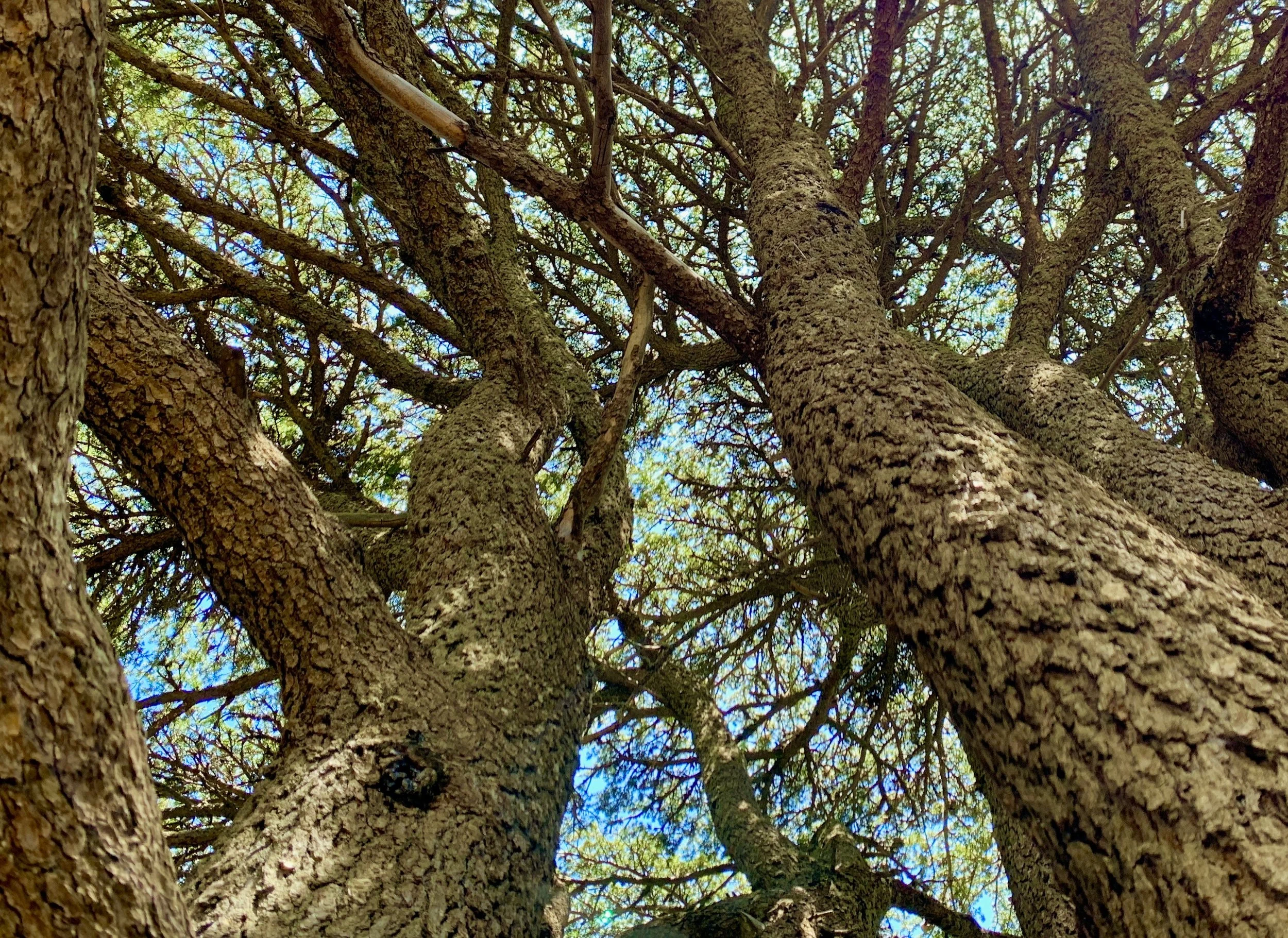 War Reporting Classroom