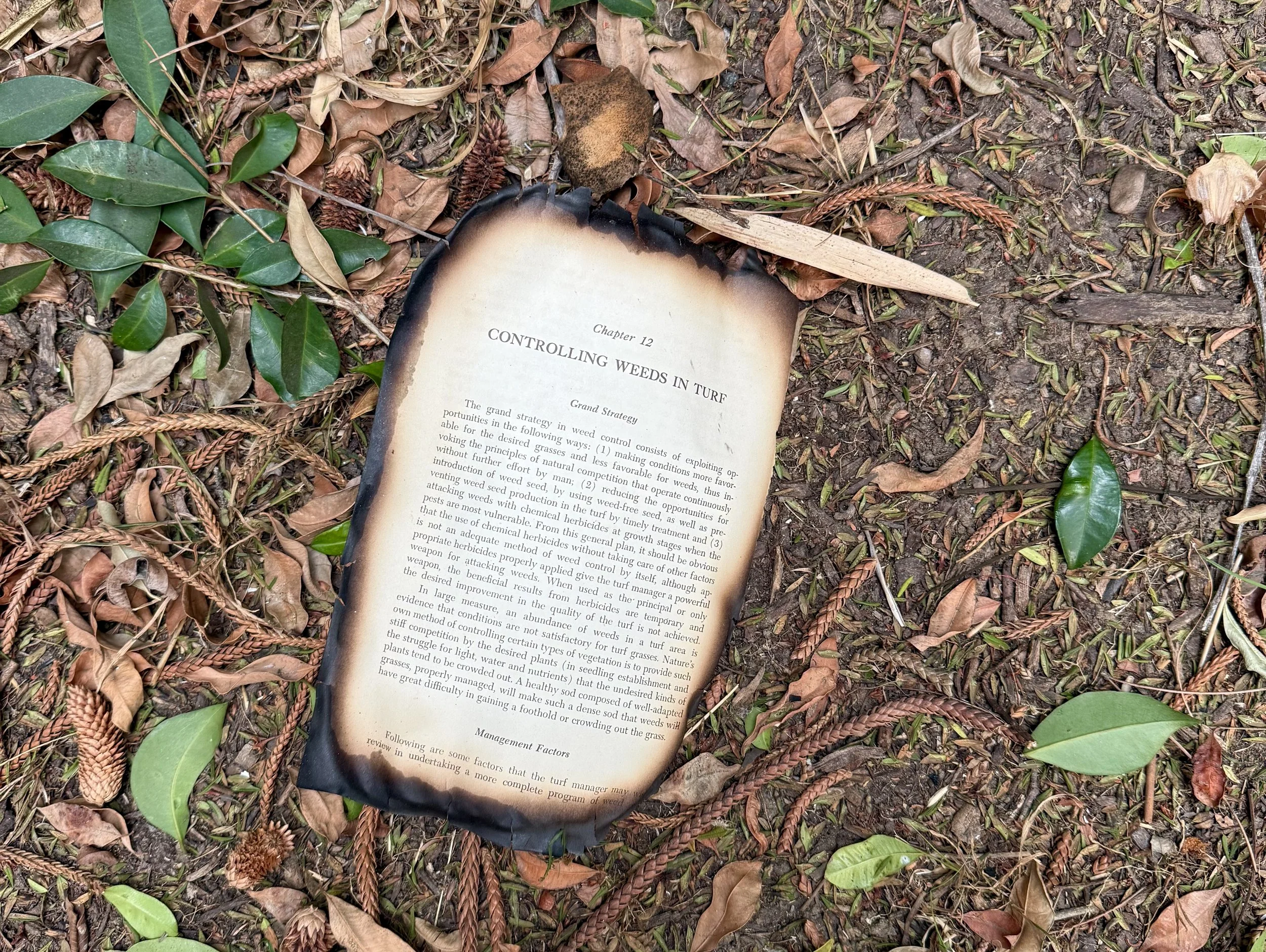 LA Fires: What Can We Do?