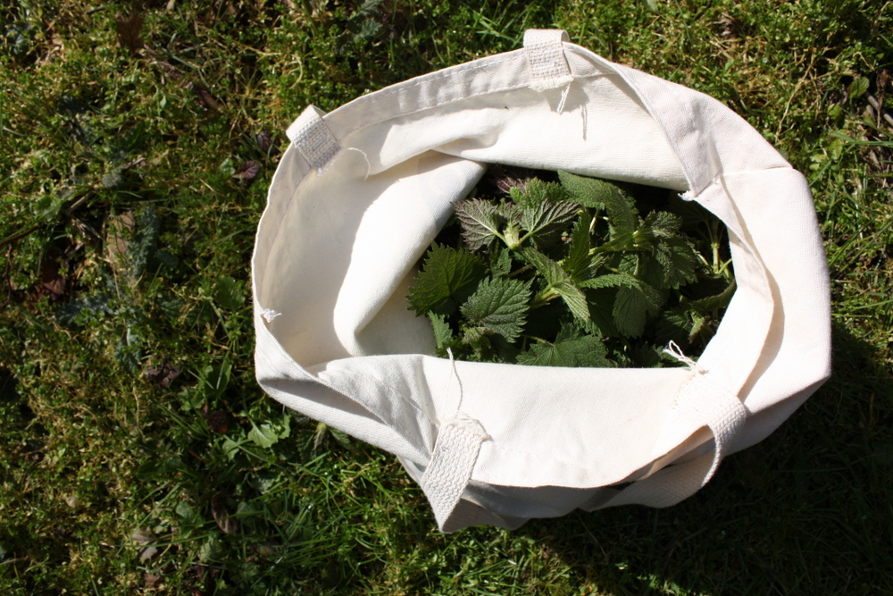 Nettle Bag.JPG