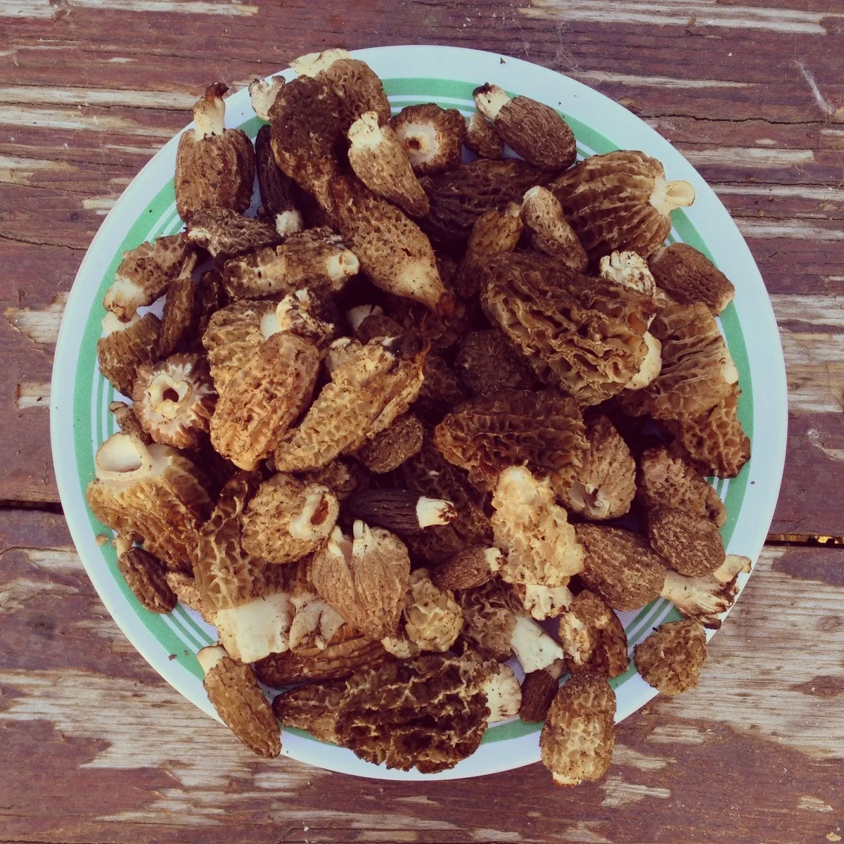  ...but eventually we did pretty okay! I think every person in our group found some. 