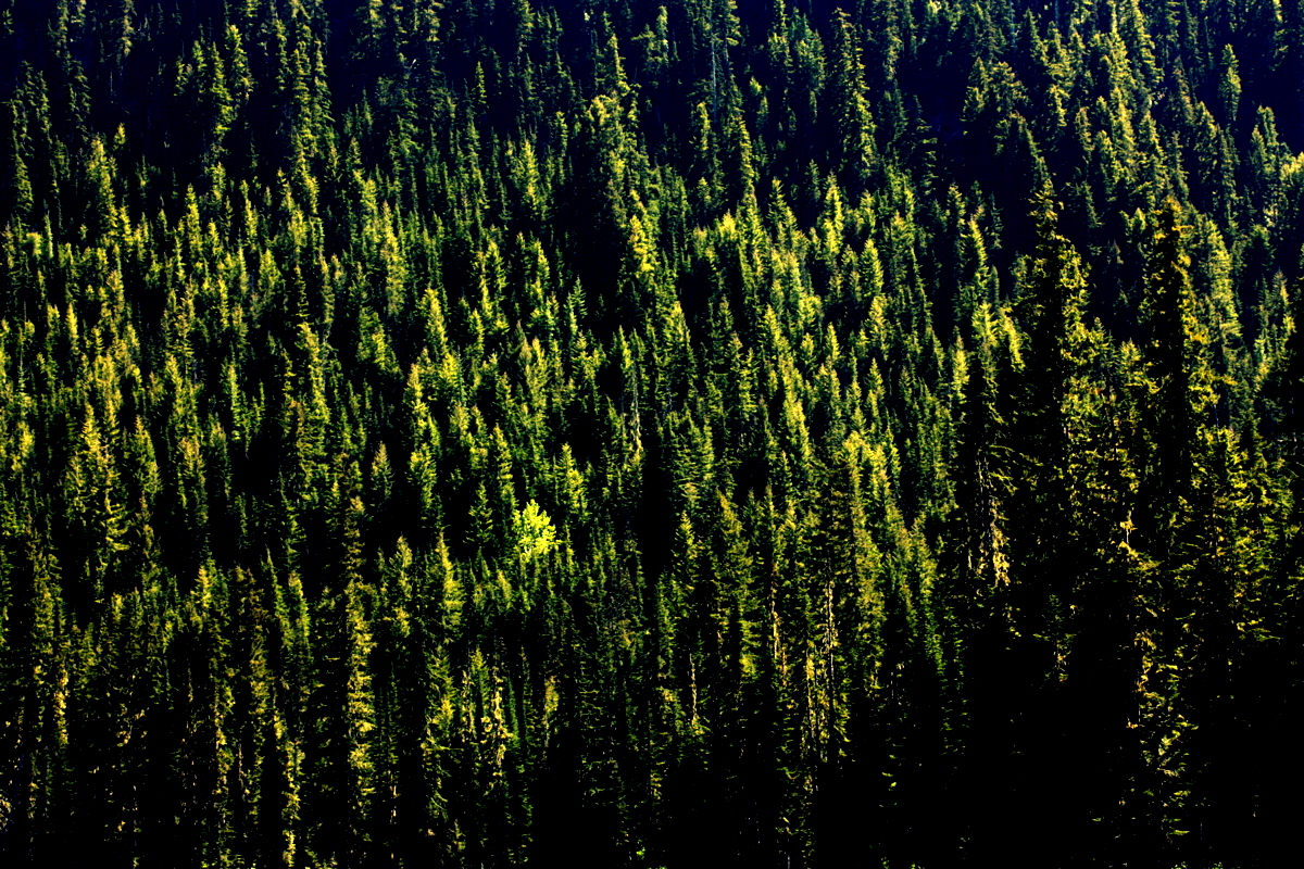  But it sorta just turned into sitting around chatting by the lake. No probalo. 