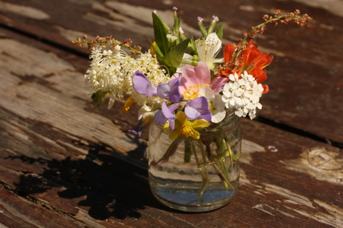  I was getting antsy to make something so I collected some flowers and stuck them into the small jar I used for salt. And another instagram/Vine project was born. If you follow me on either(instagram= LQSeaton, Vine=Leslie Seaton), you can see some s