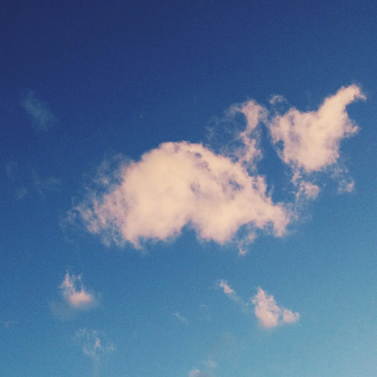  Pink elephant clouds. Pretty great trip. Washington, you are excellent. 