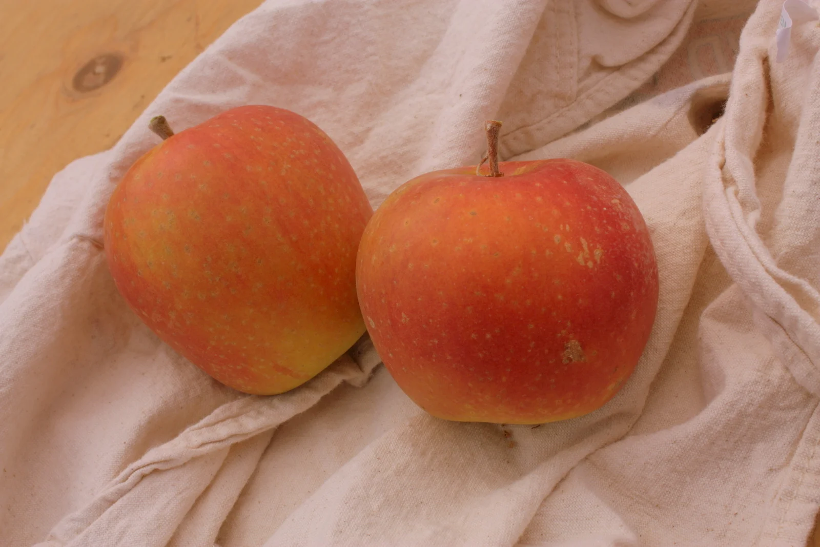  Harmony also grows some heirloom varieties for use in their cider (Tieton Cider works). These are Ashmead Kernel. 