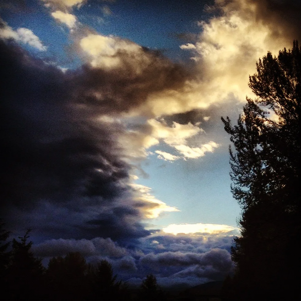 Harmony Orchard Apple Picking