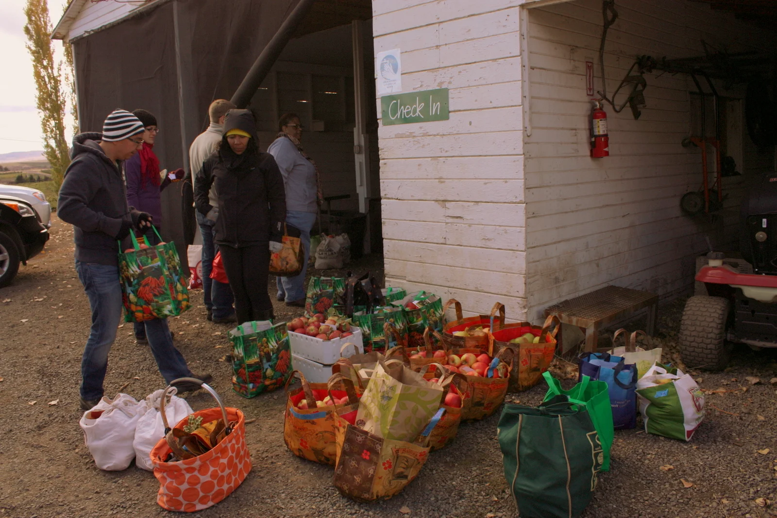  At the end of the day, we weighed up all our stuff. I got 35 lbs for $17.50. I wish I had picked more. 