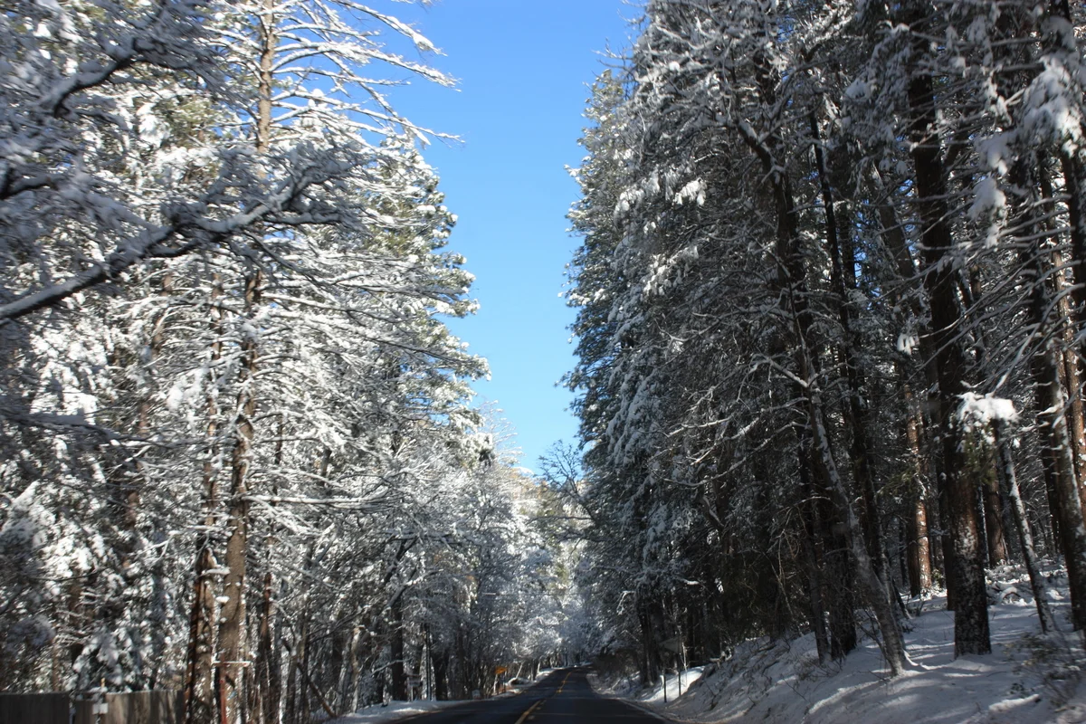   A quick drive through Oak Creek up towards Flagstaff. Oak Creek is one of my favorite places on earth. Unfortunately, with the snow, a lot of the little place to stop along the creek were closed.  