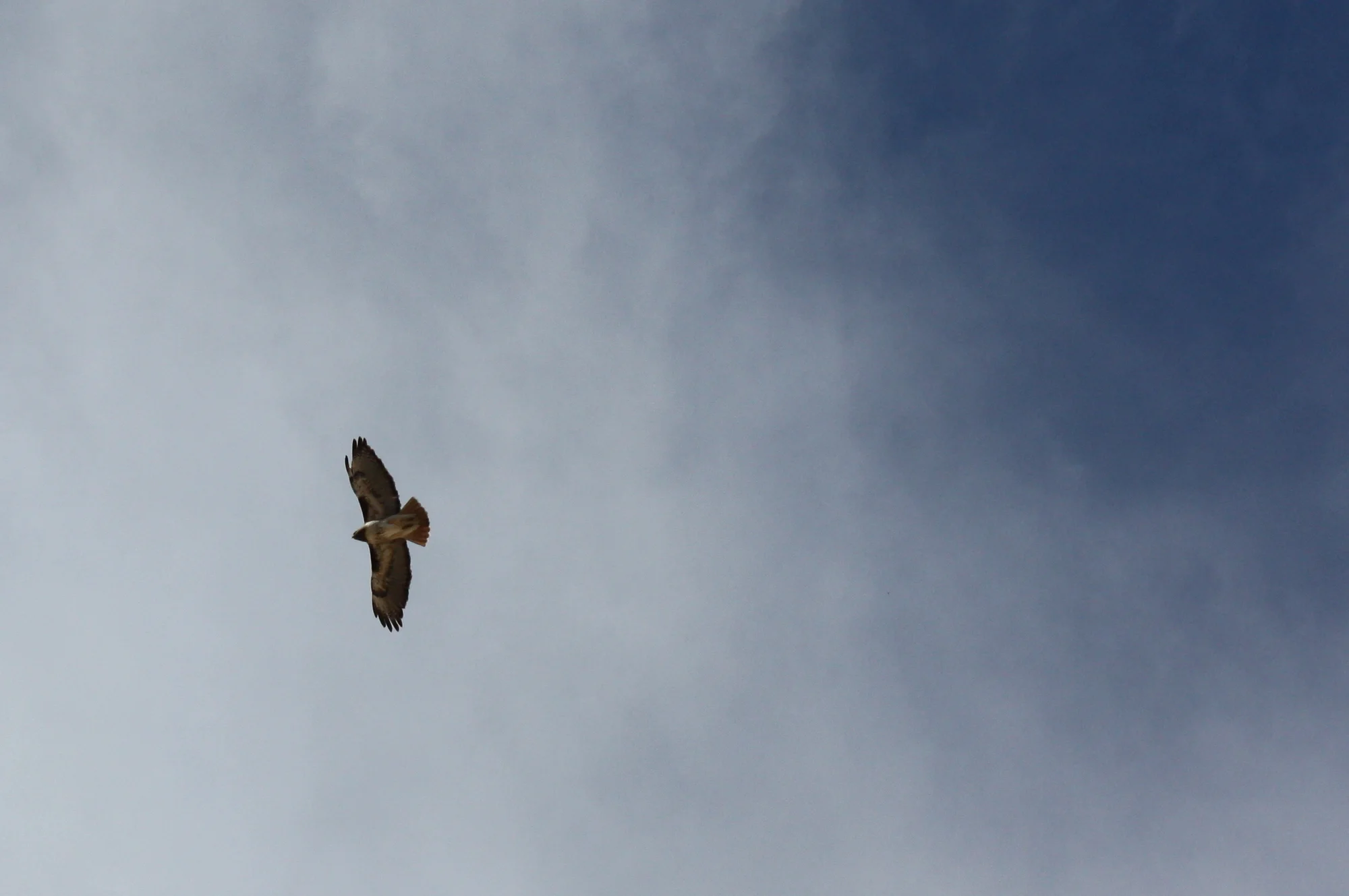 Unidentified/Montezuma's Castle, AZ