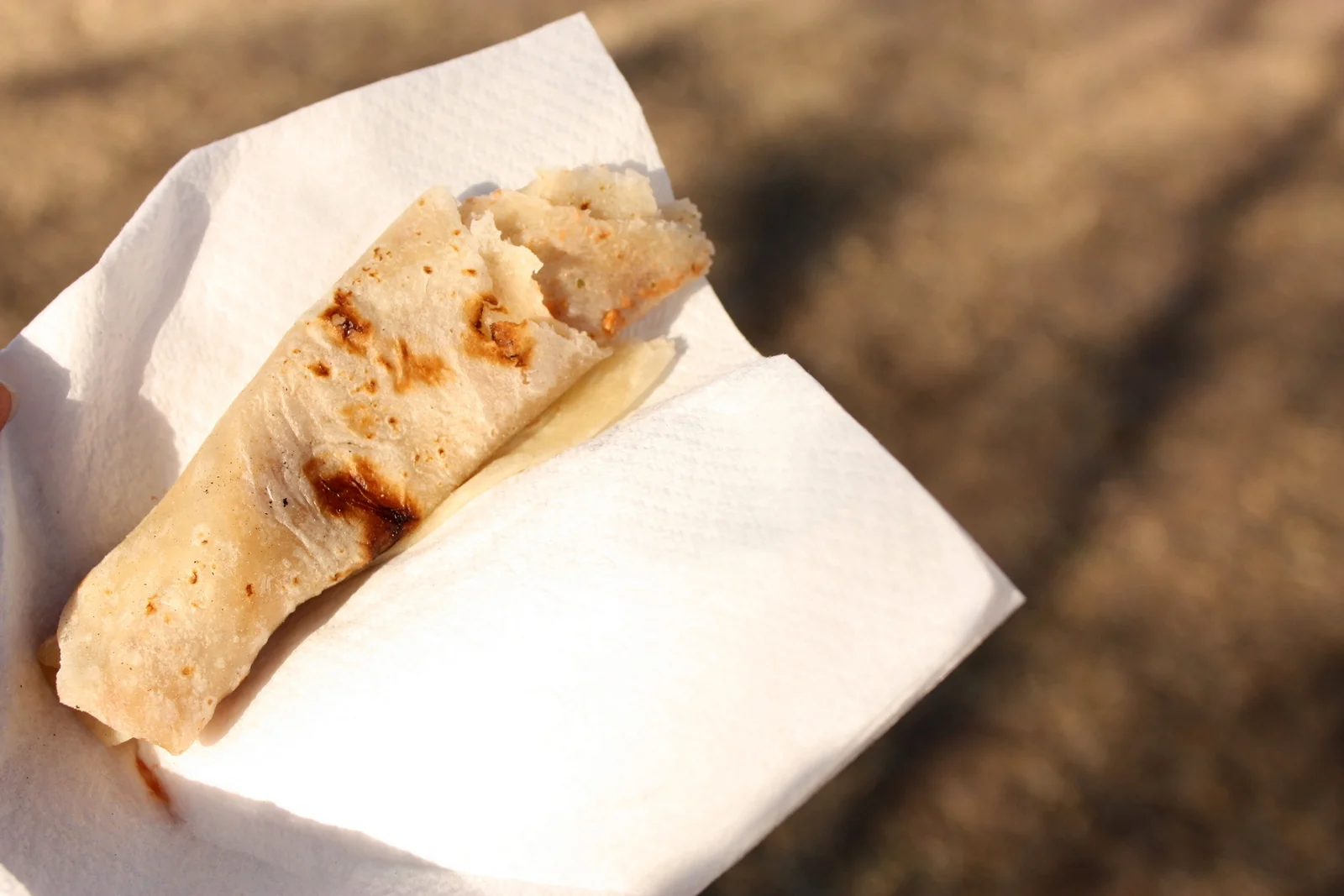  The tortilla, and the spicy homemade salsa that accompanied were delicious. 
