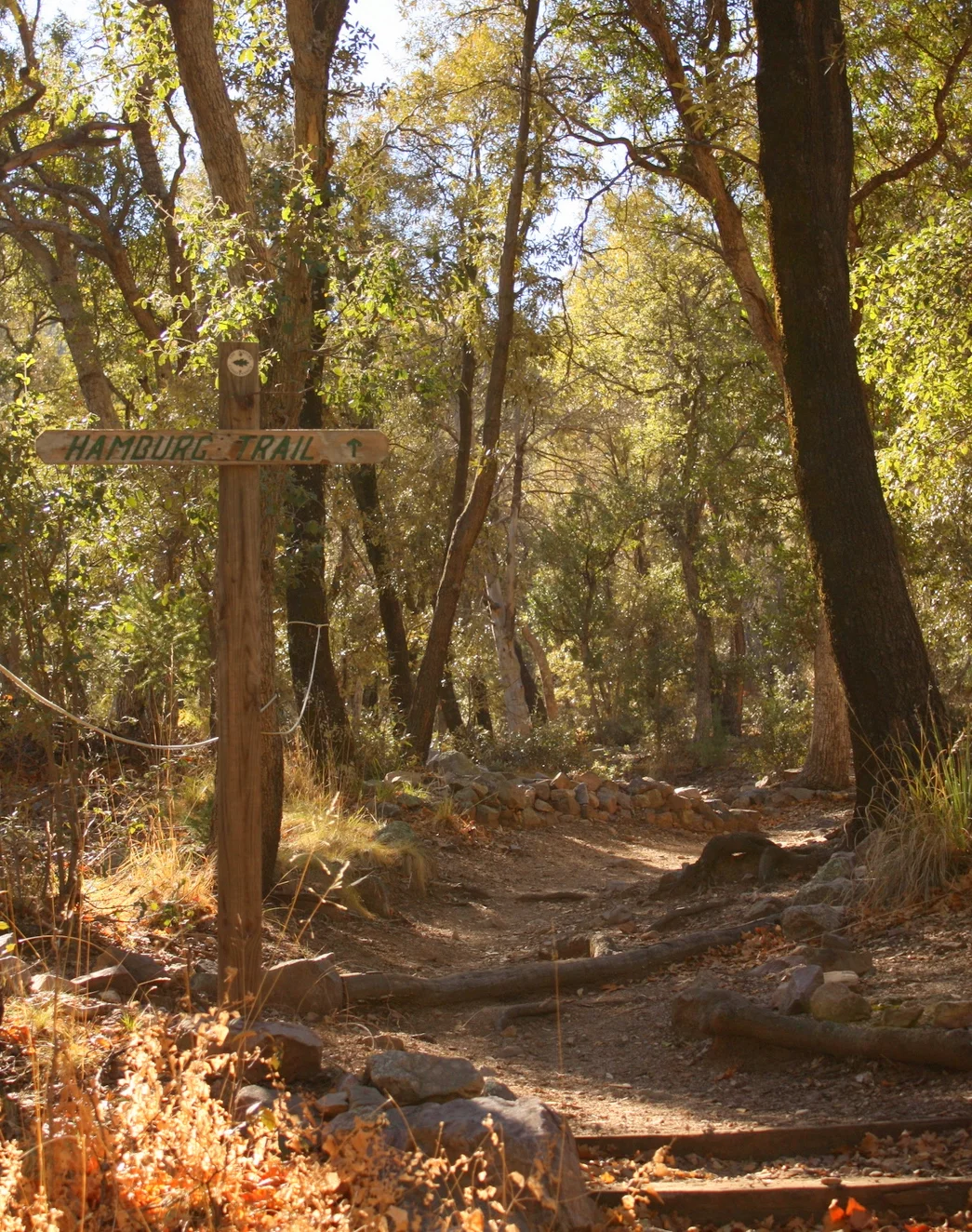 I did not take it, but this trail, Hamburg Trail that branches off from the Nature Conservancy is apparently often used by people crossing the border illegally. 