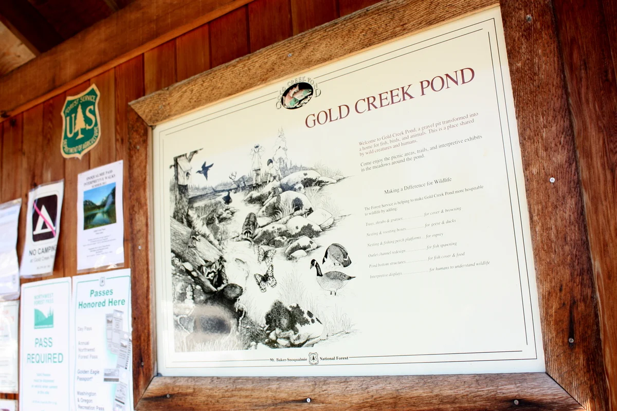 Gold Creek Pond Trail