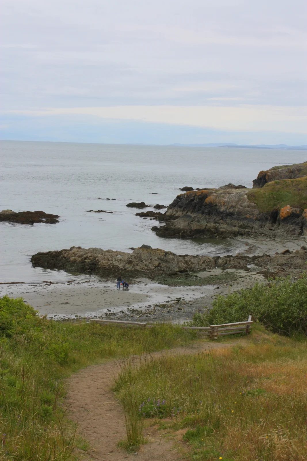  View from an end of the trail 