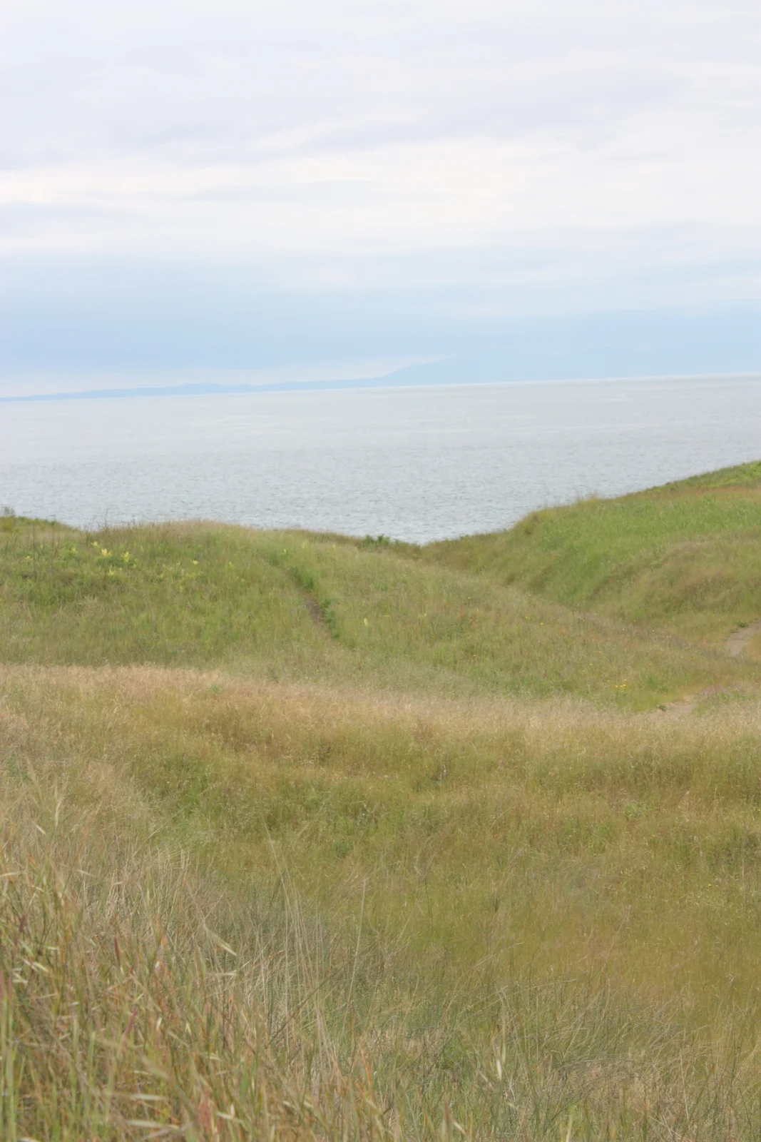 American Camp, San Juan Nat'l Historic Park