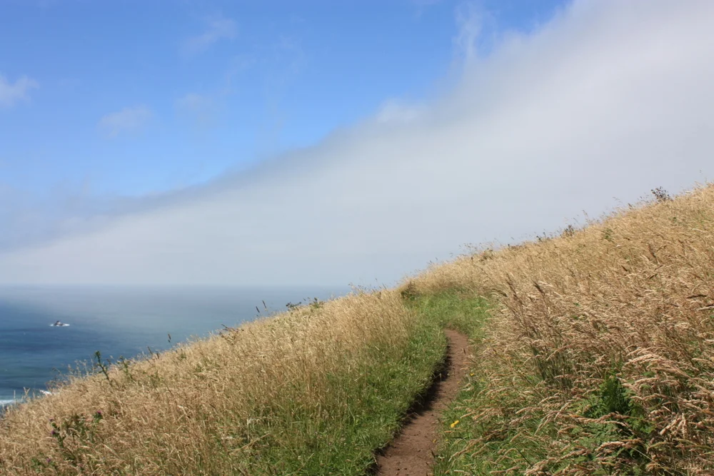  Fortunately the promise of a spectacular view helped, as you exit the forest into a meadow with this hint of what was to come. 