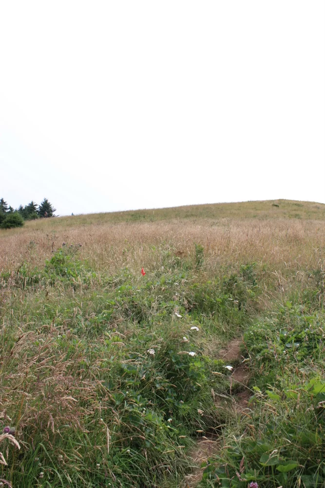  But I was only at the lower viewpoint, and I really wanted to see what was up there, 700 feet above at the upper viewpoint. So I trudged... 