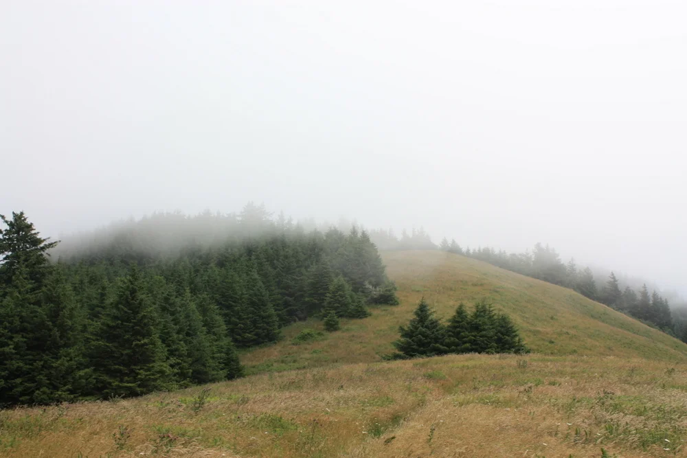  High enough up to be in the clouds. I tried to make a GIF of my photos to show how fast the clouds were moving, but it didn't quite work. Next time. 