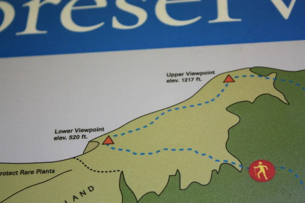  So after a walk in the forest (which was still challenging to me, my knees and my lungs), things got more real. Again, I know for people who climb stuff all the time, this is probably nothing, but I am not you. 