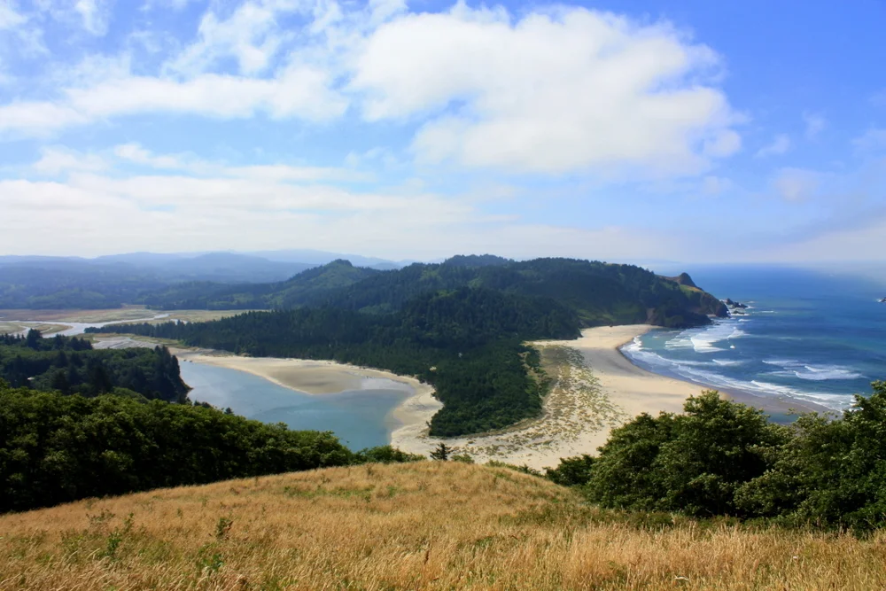 Cascade Head Trail