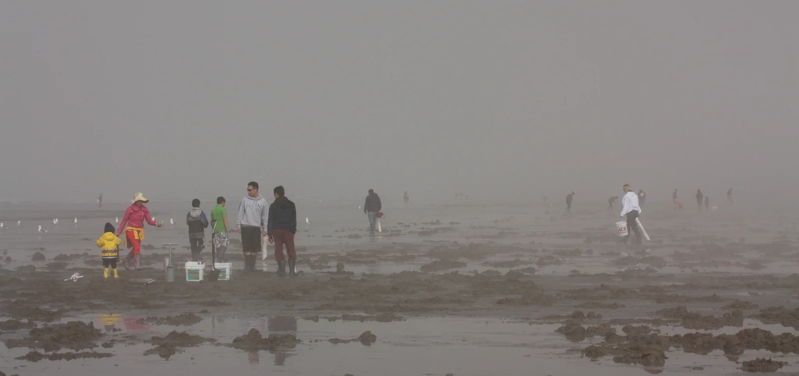  It was a busy morning, with a lot of people out in their rainboots, carrying their PVC guns and clam buckets. (Photo by Naomi Bishop http://www.thegastrognome.com/) 