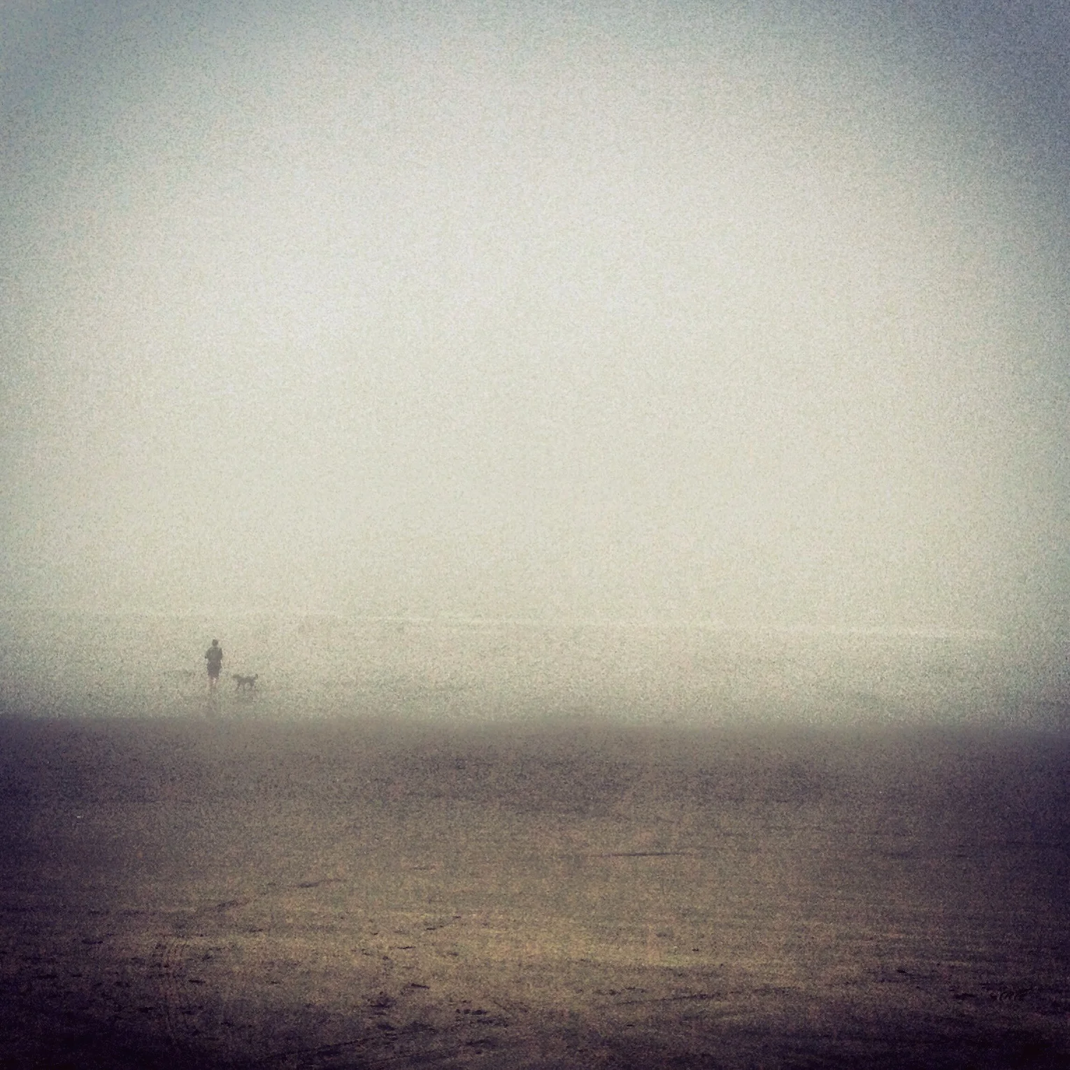  Last spring, I headed to the coast with my foraging friend Naomi and her pup. While the drive out had been sunny, once we got to the beach (appropriately-named Grayland), we had ourselves a misty morning for our razor clam expedition. 