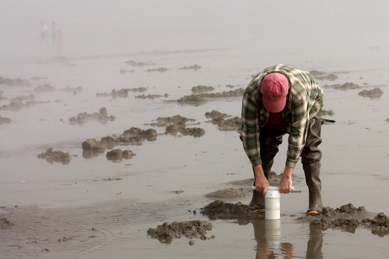  The process is relatively simple. You look for a tell in the sand - a small divot that indicates likelihood of a clam - then you shove your gun into the wet sand, driving straight down to trap the clam in the column of sand. You put your thumb over 