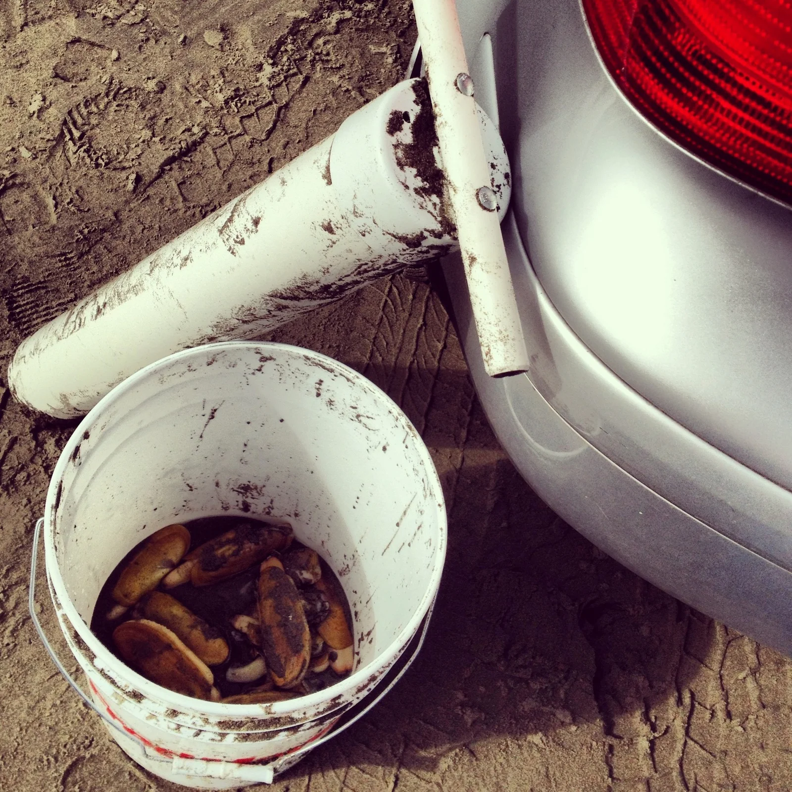  While we wound up with a few little guys, and some that got a little mangled from being hit by the gun (you have to keep those, too, though, and they count against your limit), overall it was a successful day. 