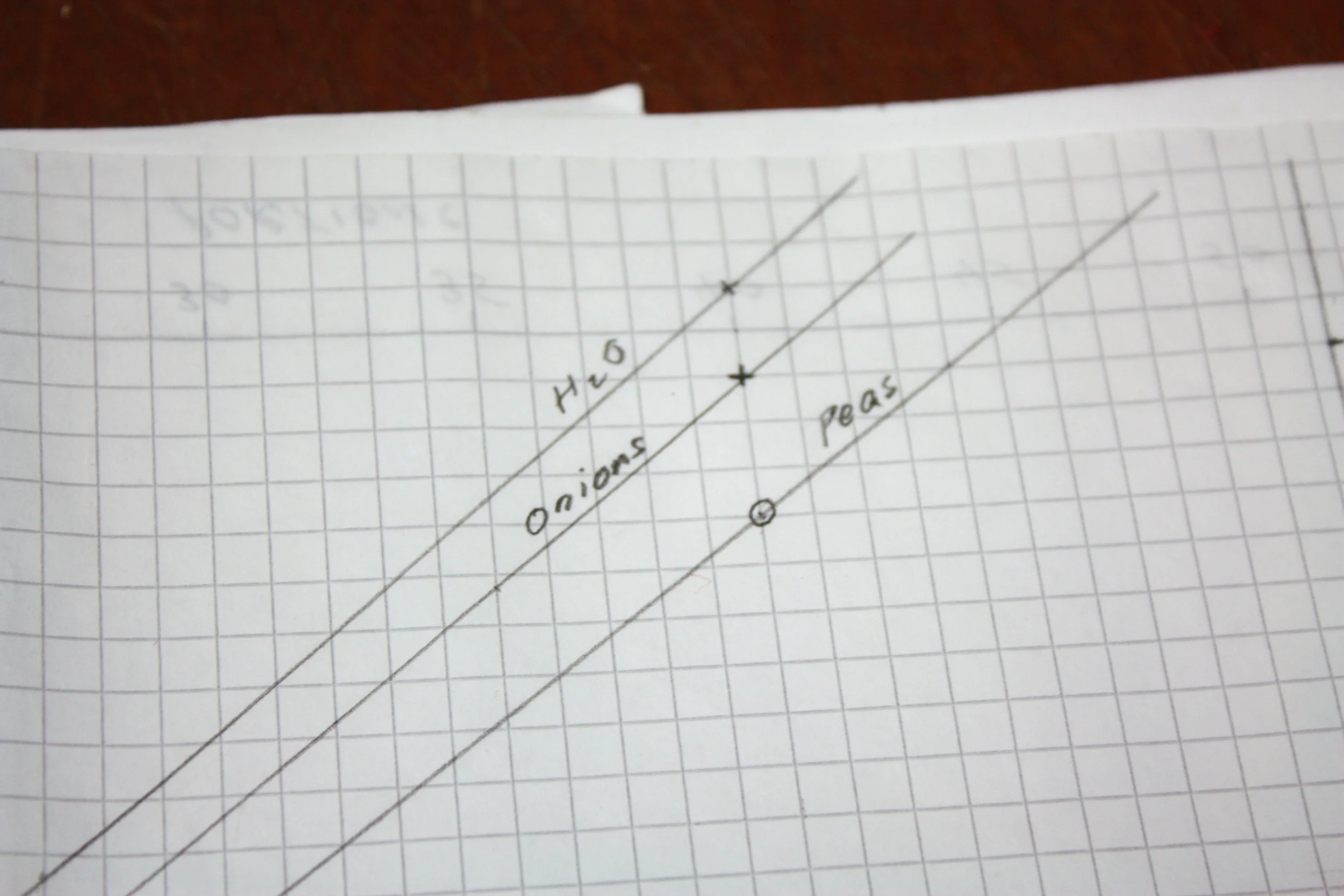 Swedish Cultural Center Pea Soup Contest