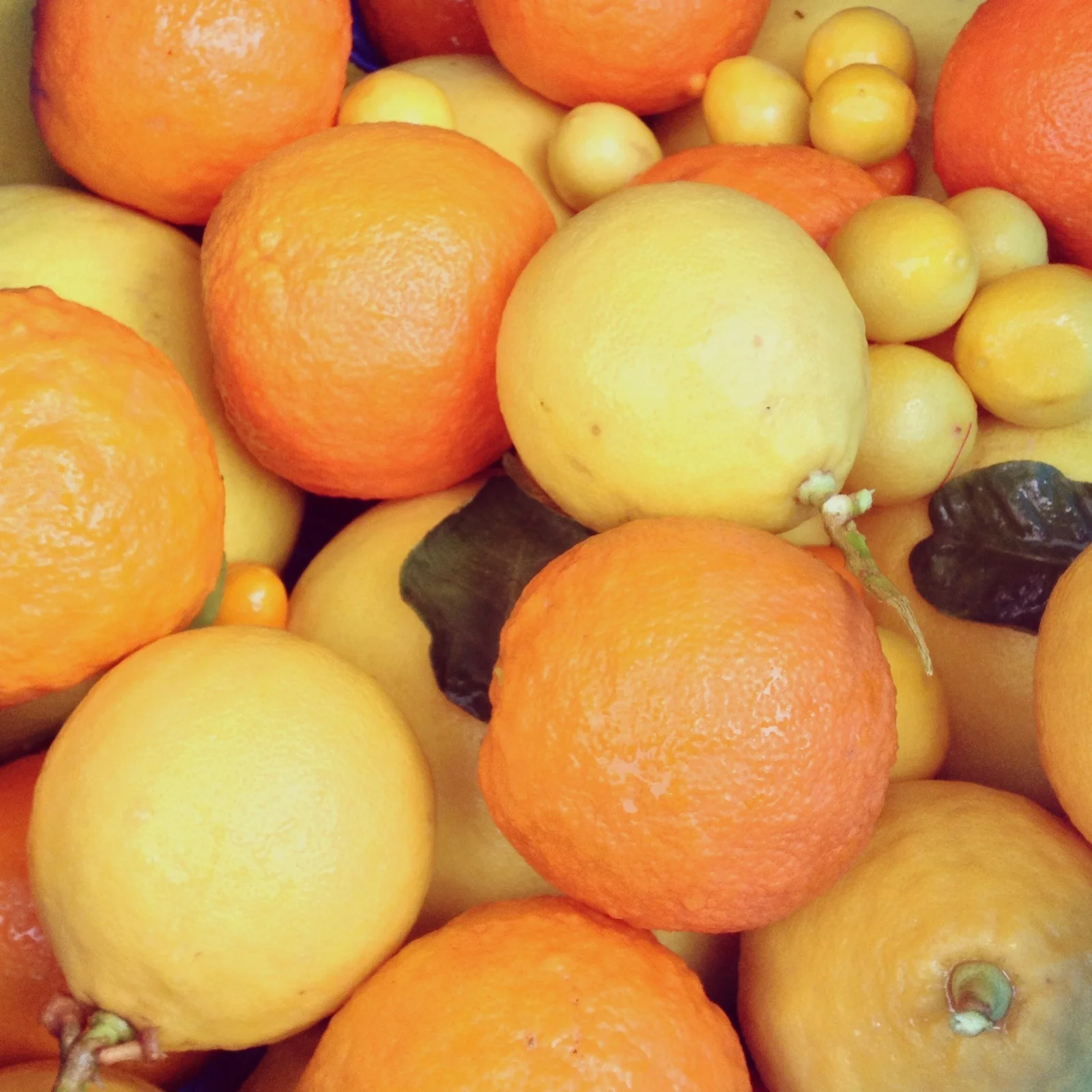 But it was worth it! I came home with a large bag full of Sarawak pummelos, bergamot, sour oranges, limequats, and a smattering of kumquats.