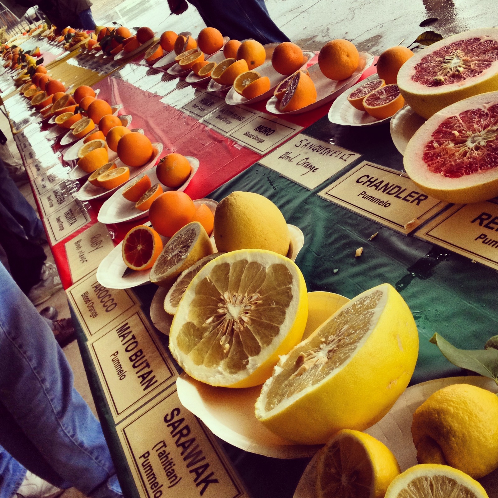 Truman Ranch Citrus Clinic