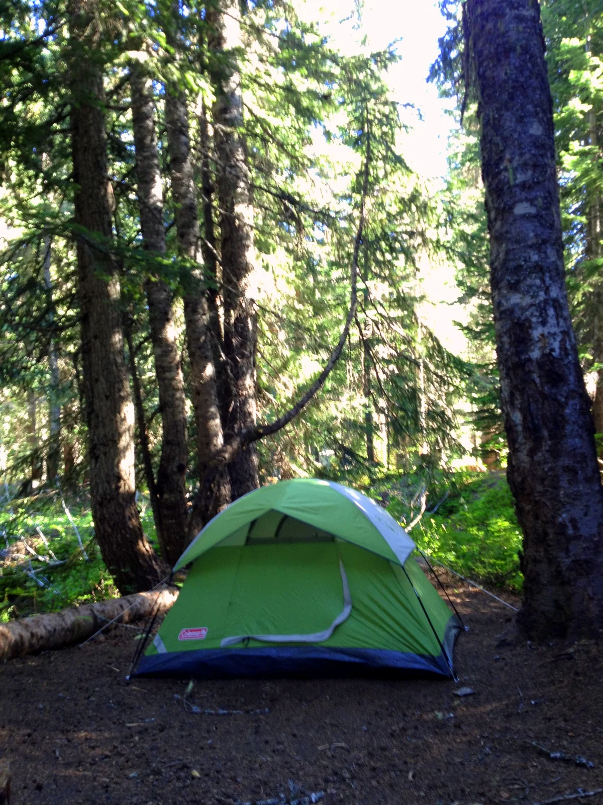  Camping spot. This was my first solo camping trip and I was very relieved I was able to successfully set up the tent. I had some doubts. My little campsite overlooked the creek; very adorable. 