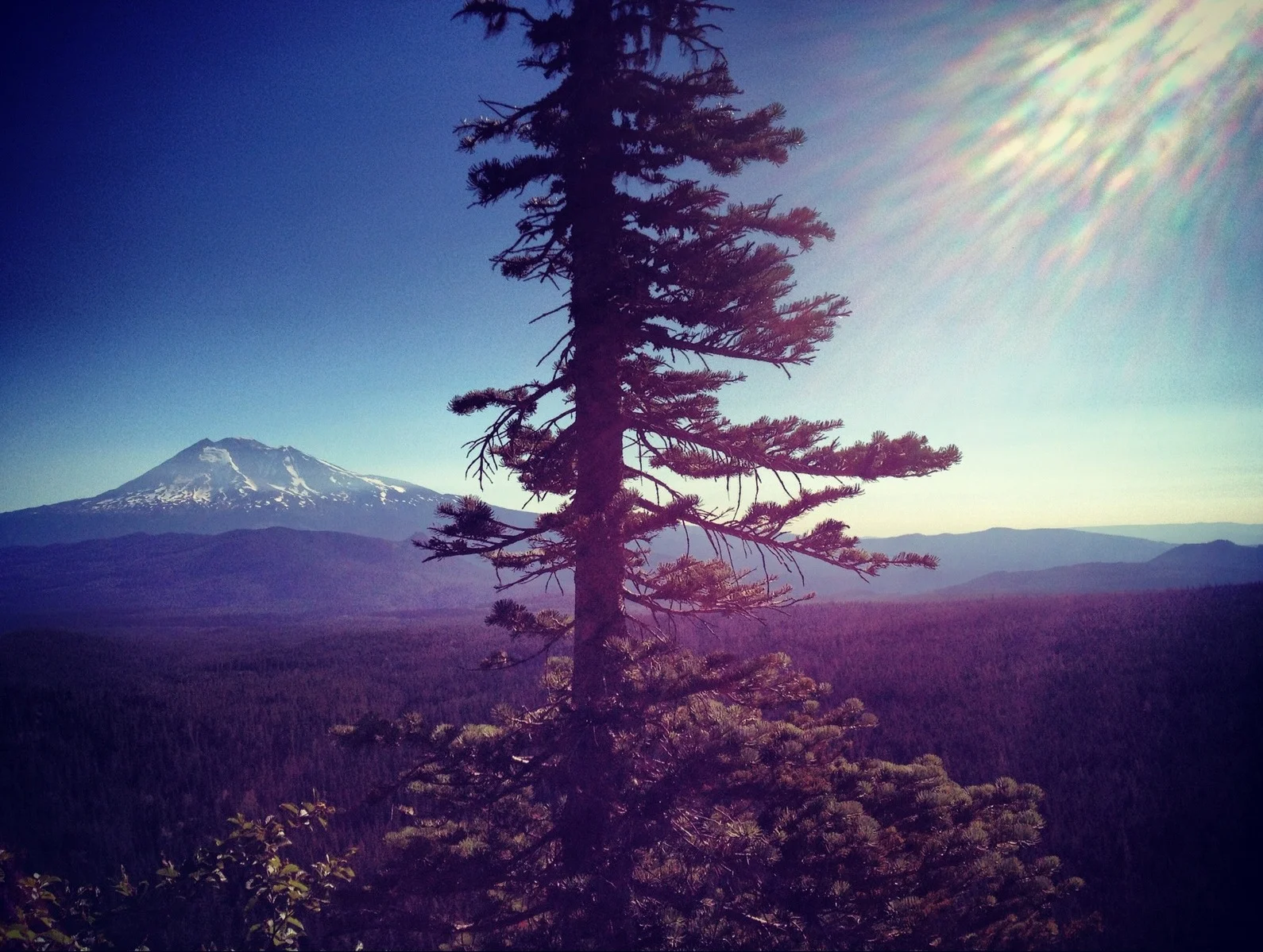  ...and a really amazing view. 