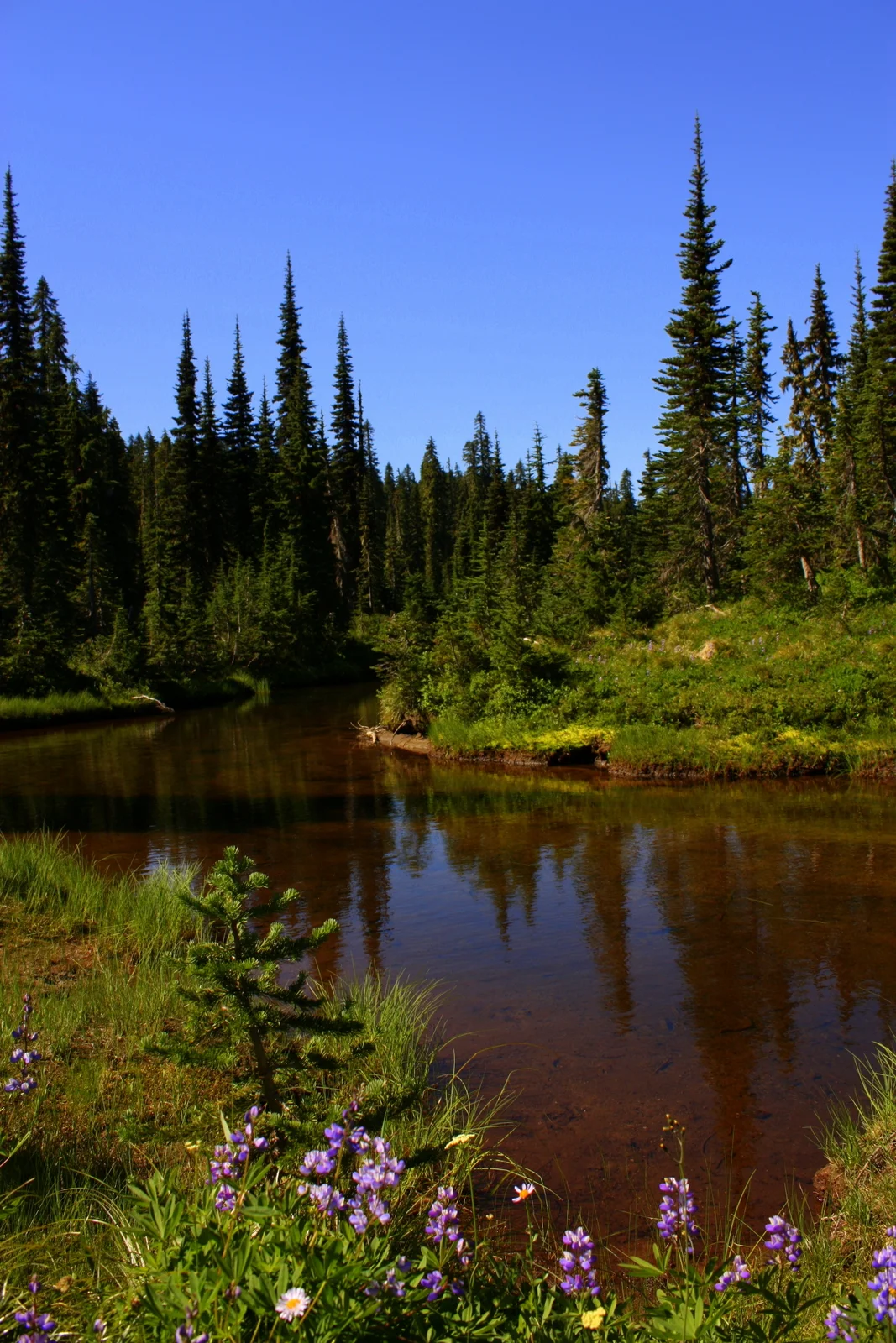  Also many little creeks and lakes... 