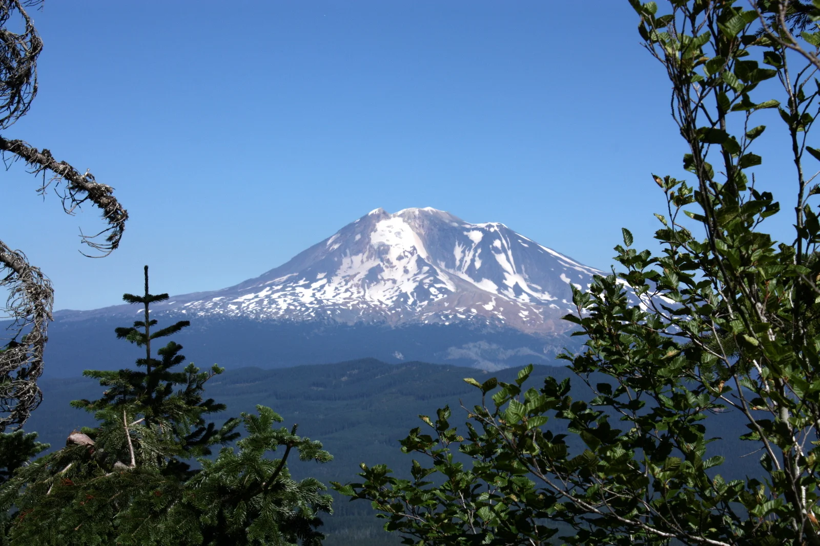  Some great views on this trail as well. 
